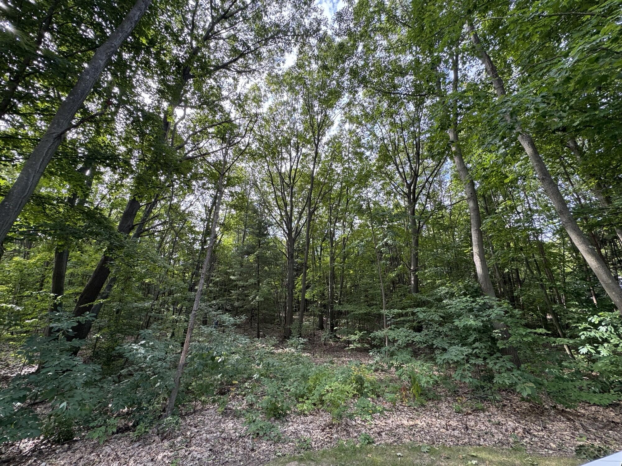 76757 Wood Crest Court