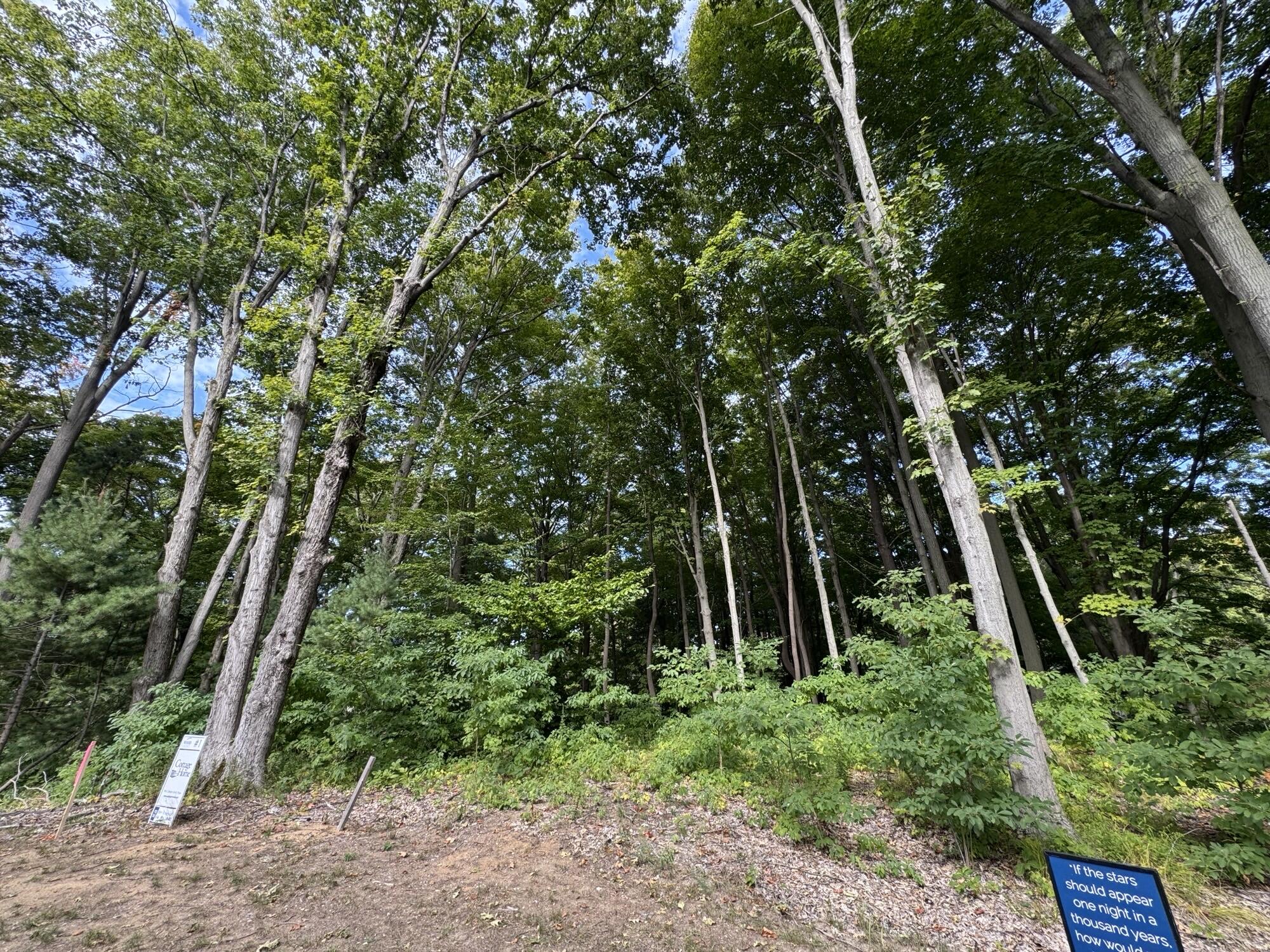 14606 Crest View Court