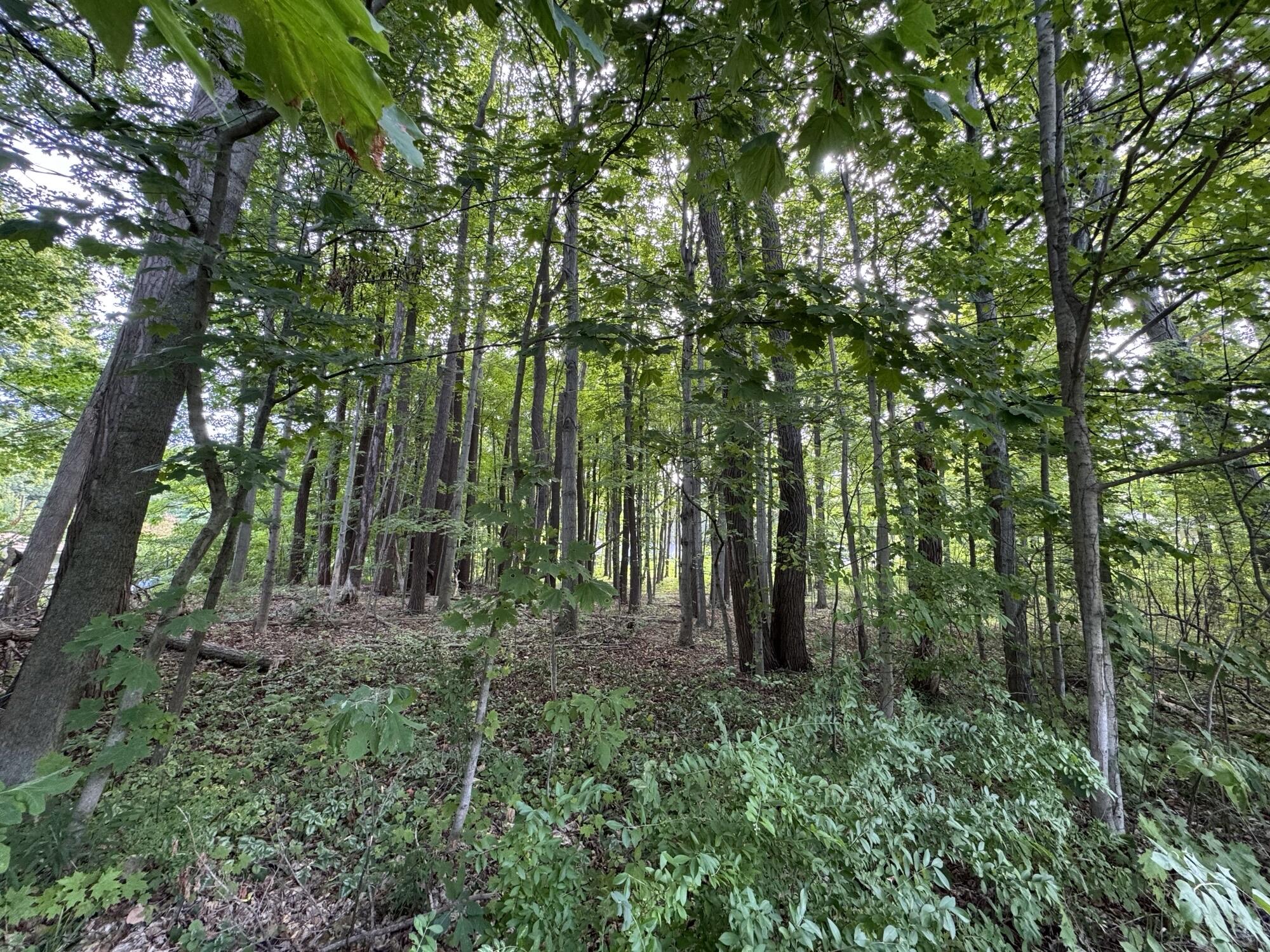 14606 Crest View Court