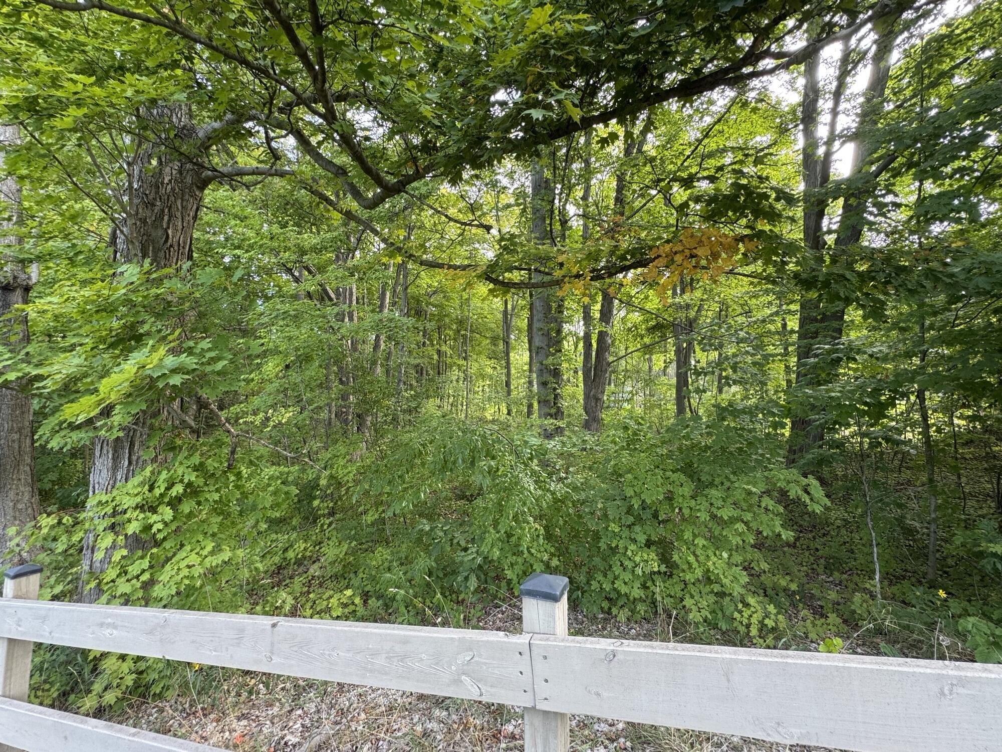14672 Crest View Court