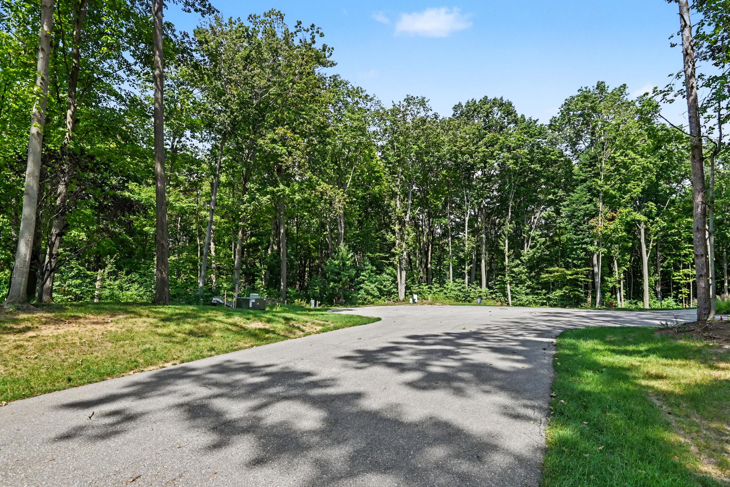 Paved road curving through a leafy, wooded residential area.