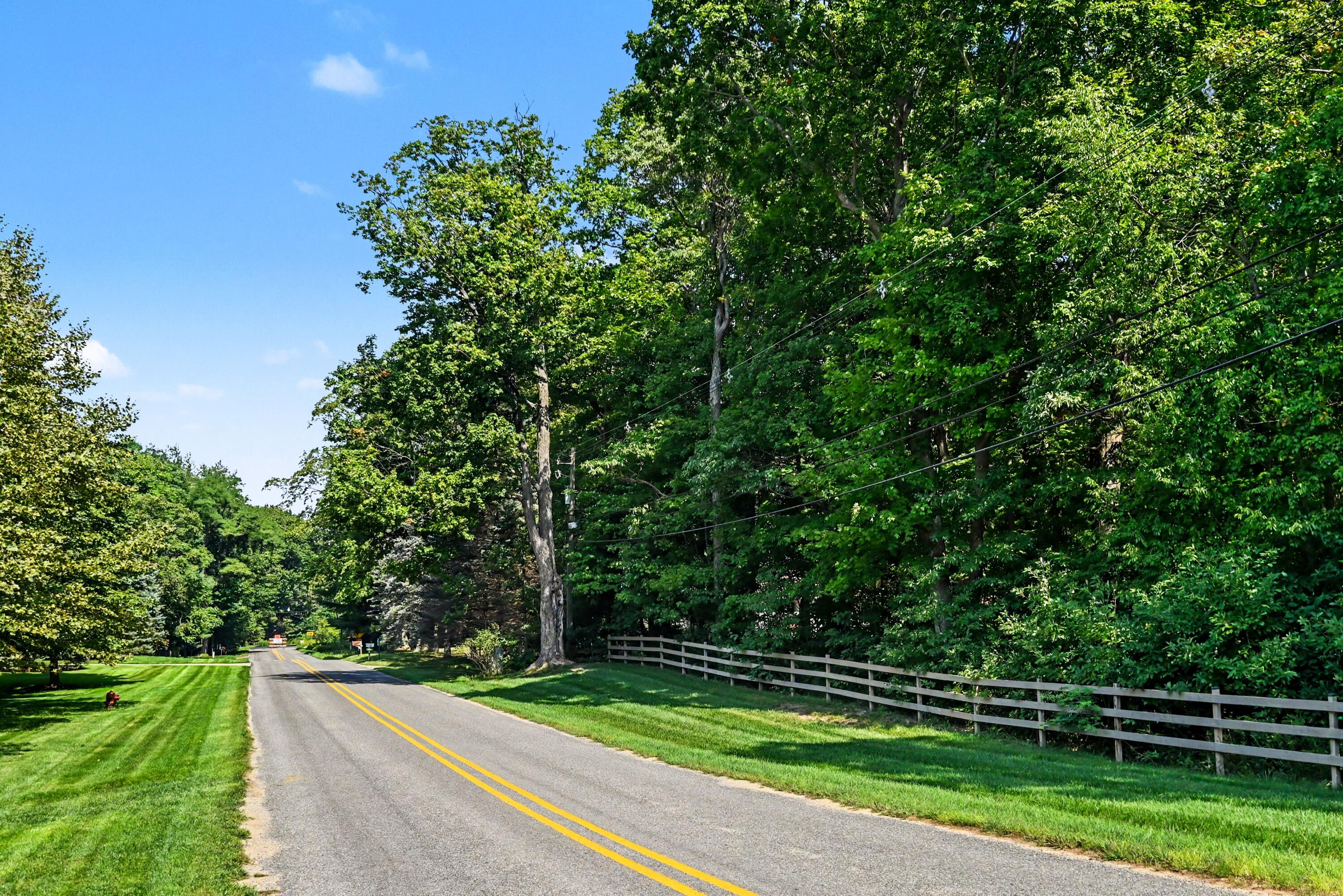 Tree-lined two-lane road with a grassy verge and wooden rail fence.