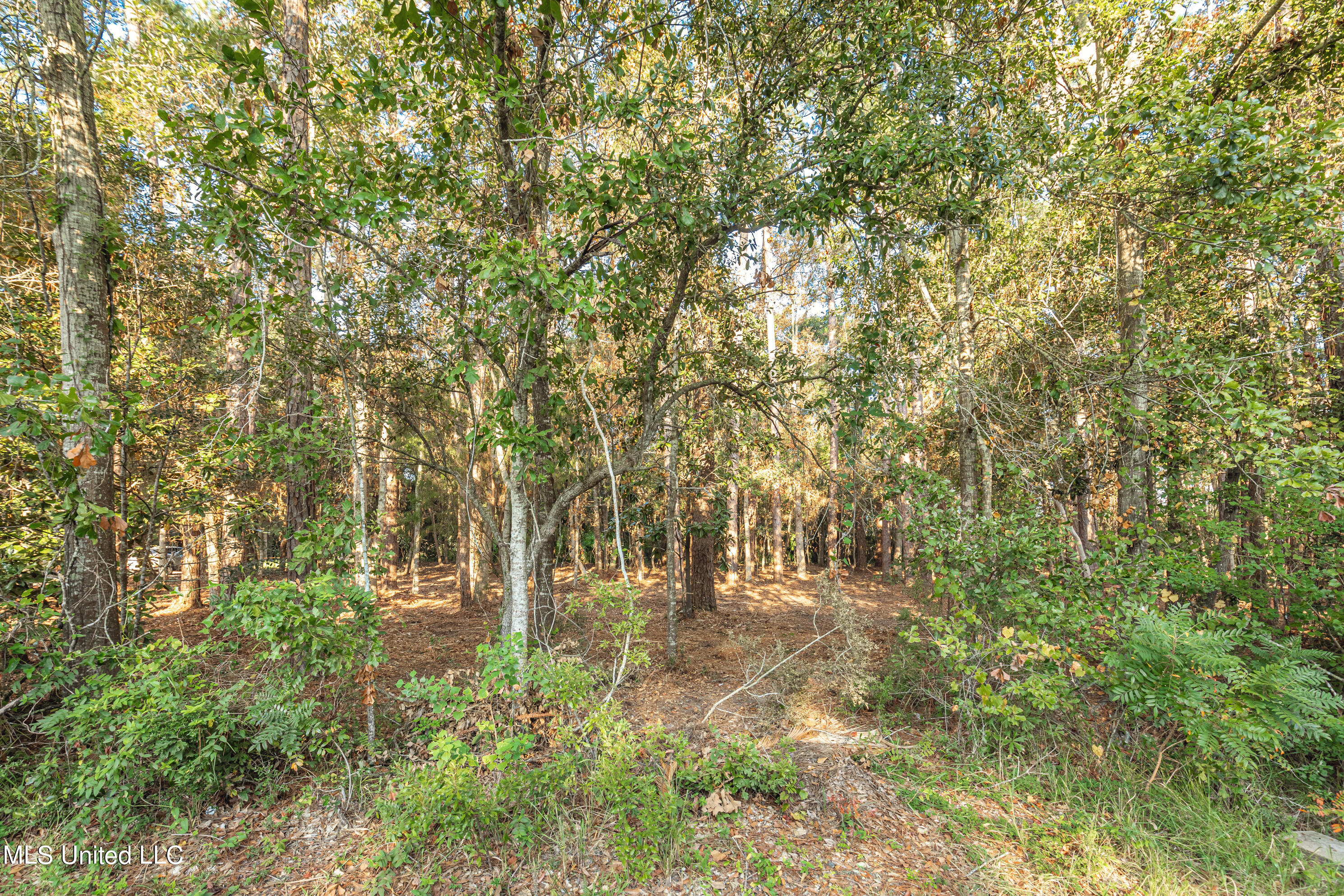 Bristol Blvd Boulevard