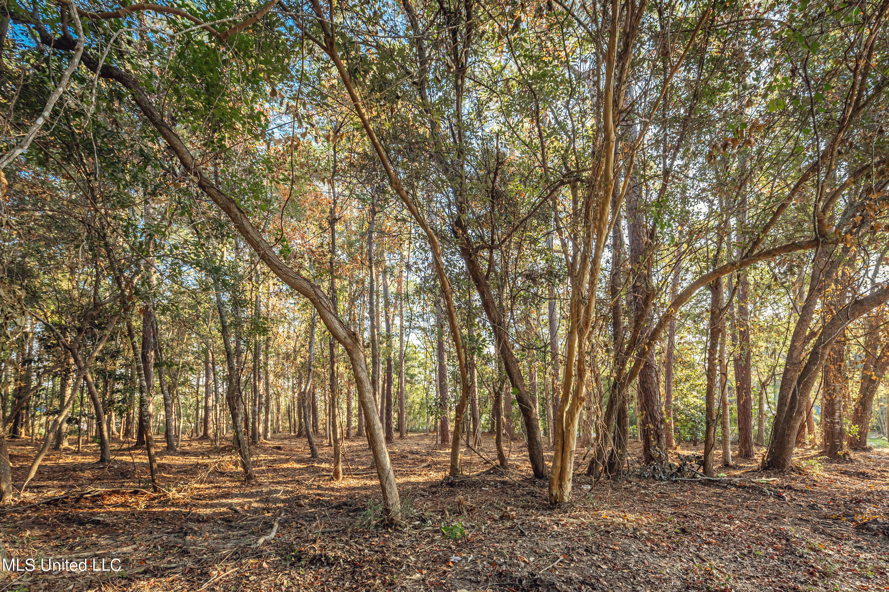 Bristol Blvd Boulevard