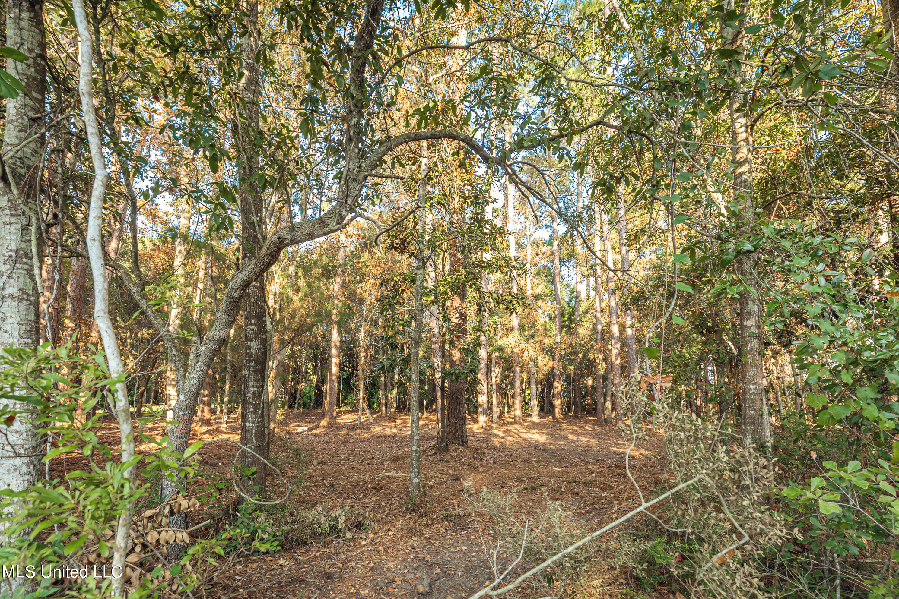 Bristol Blvd Boulevard