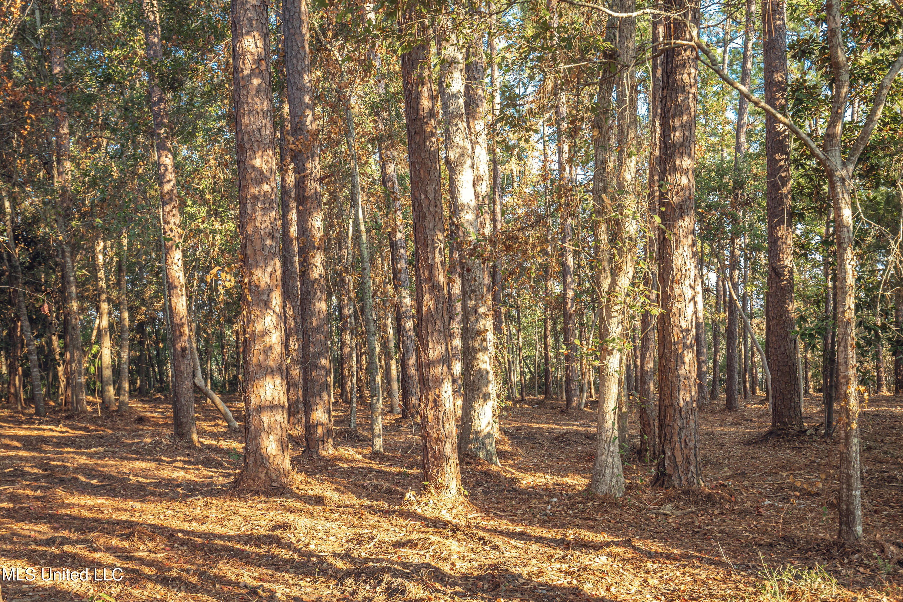 Bristol Blvd Boulevard