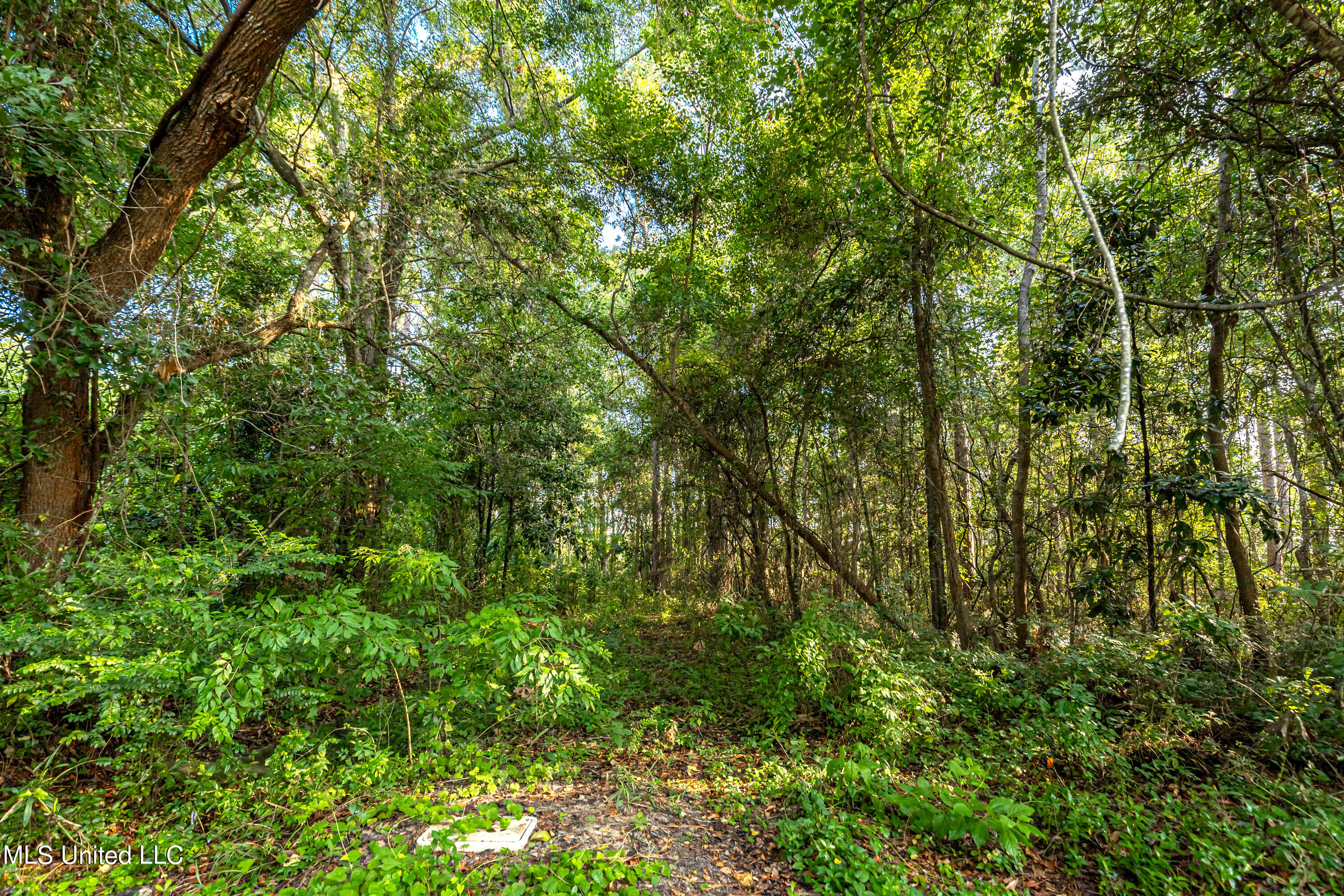 Bristol Blvd Boulevard