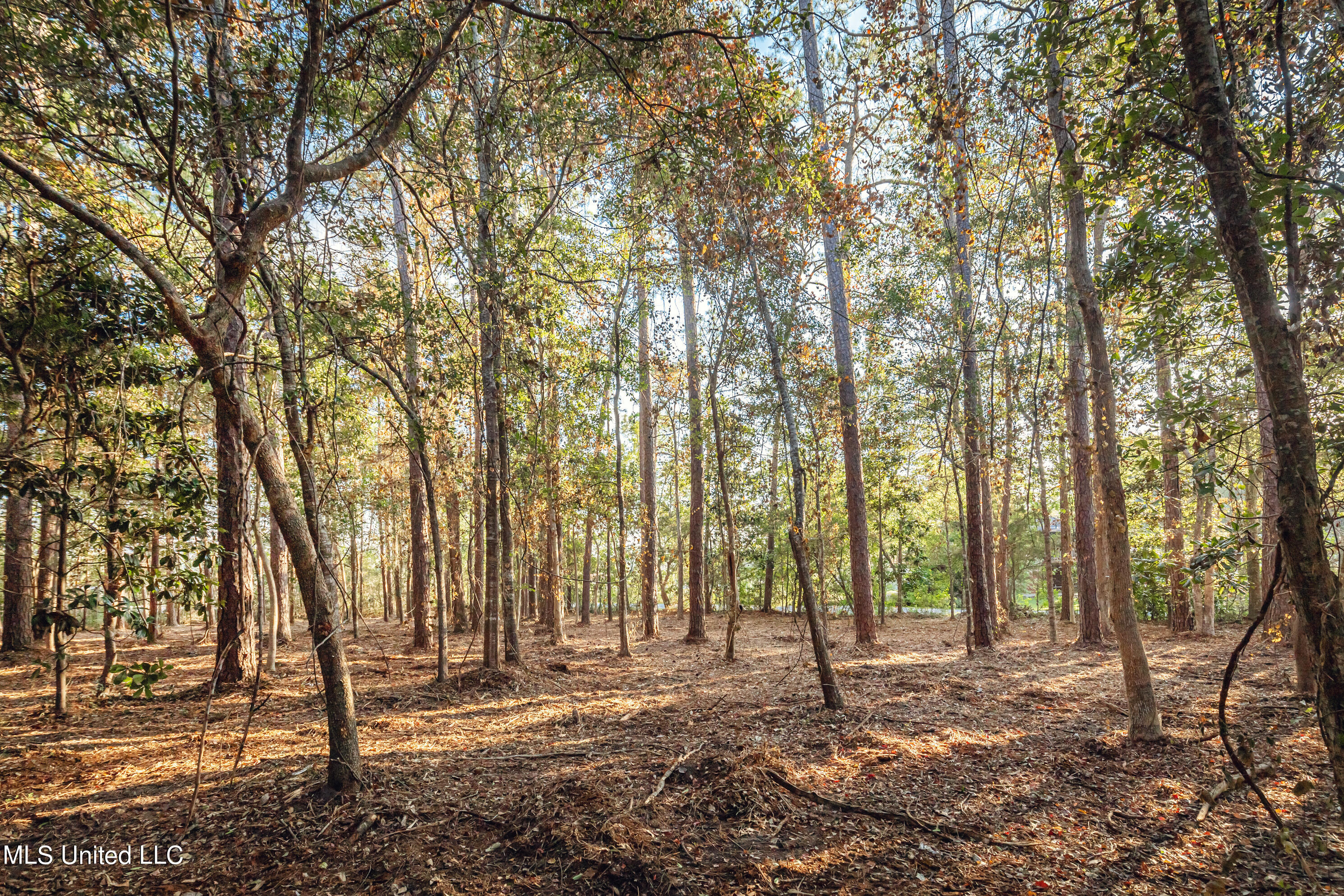 Bristol Blvd Boulevard