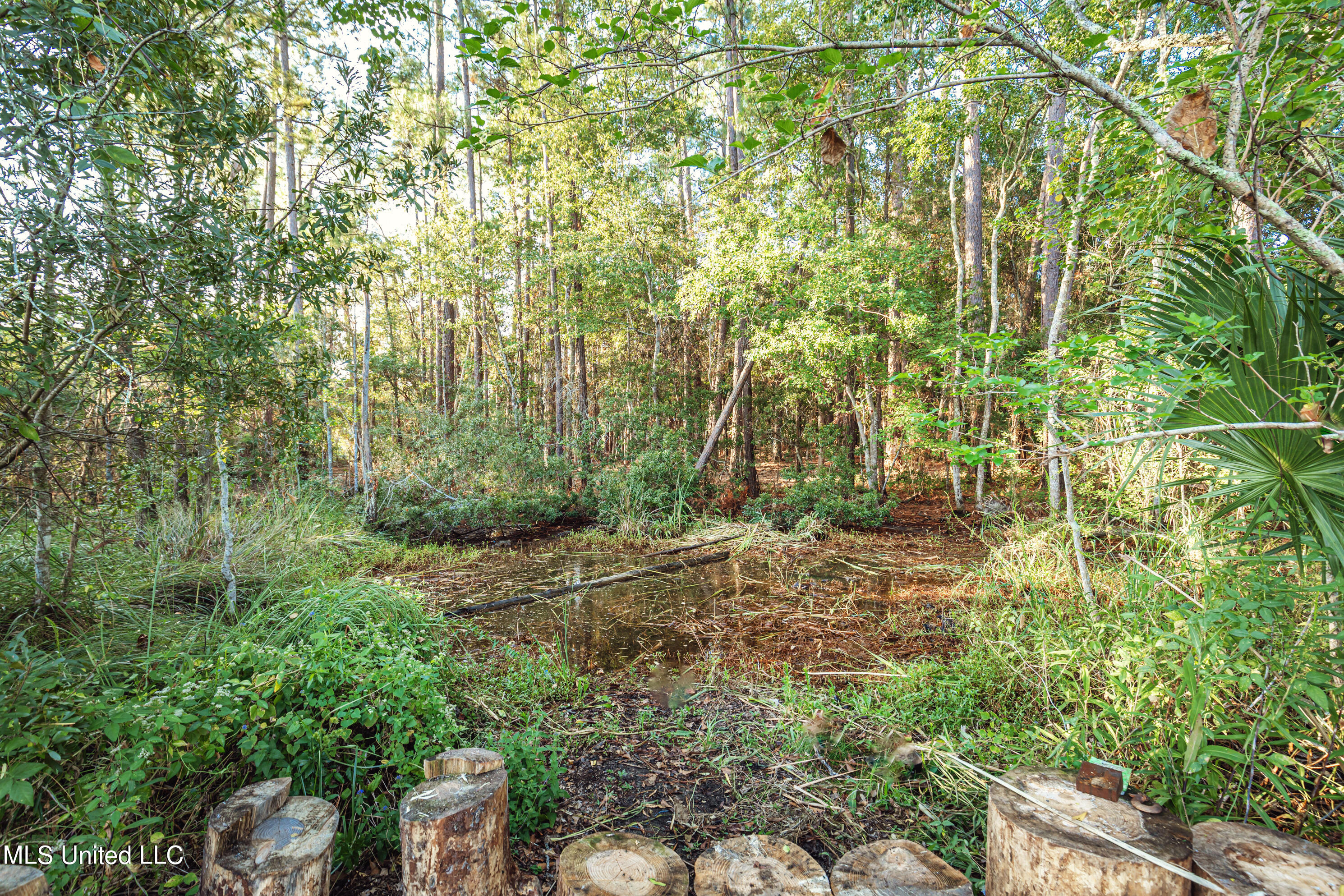 Bristol Blvd Boulevard