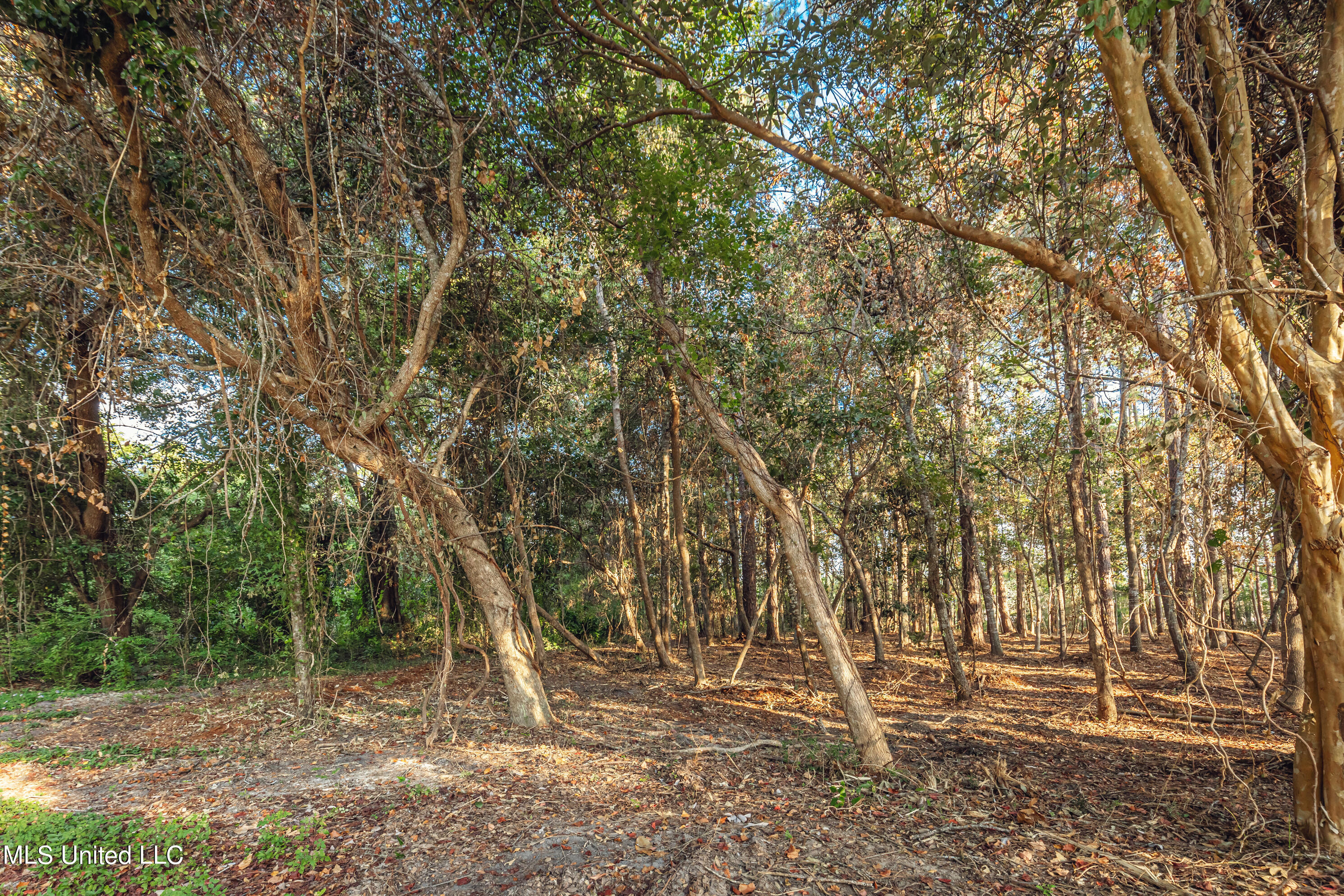 Bristol Blvd Boulevard