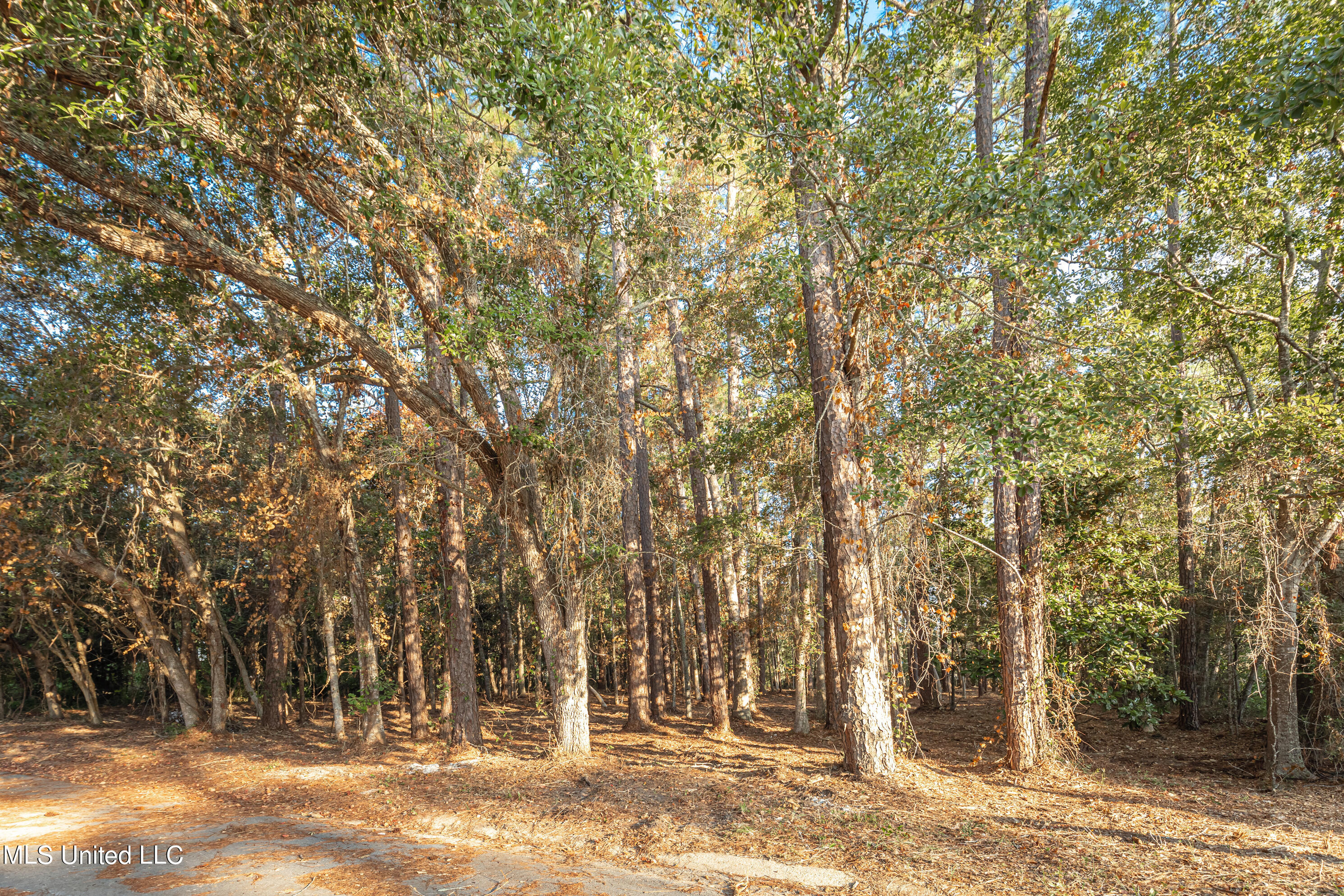 Bristol Blvd Boulevard