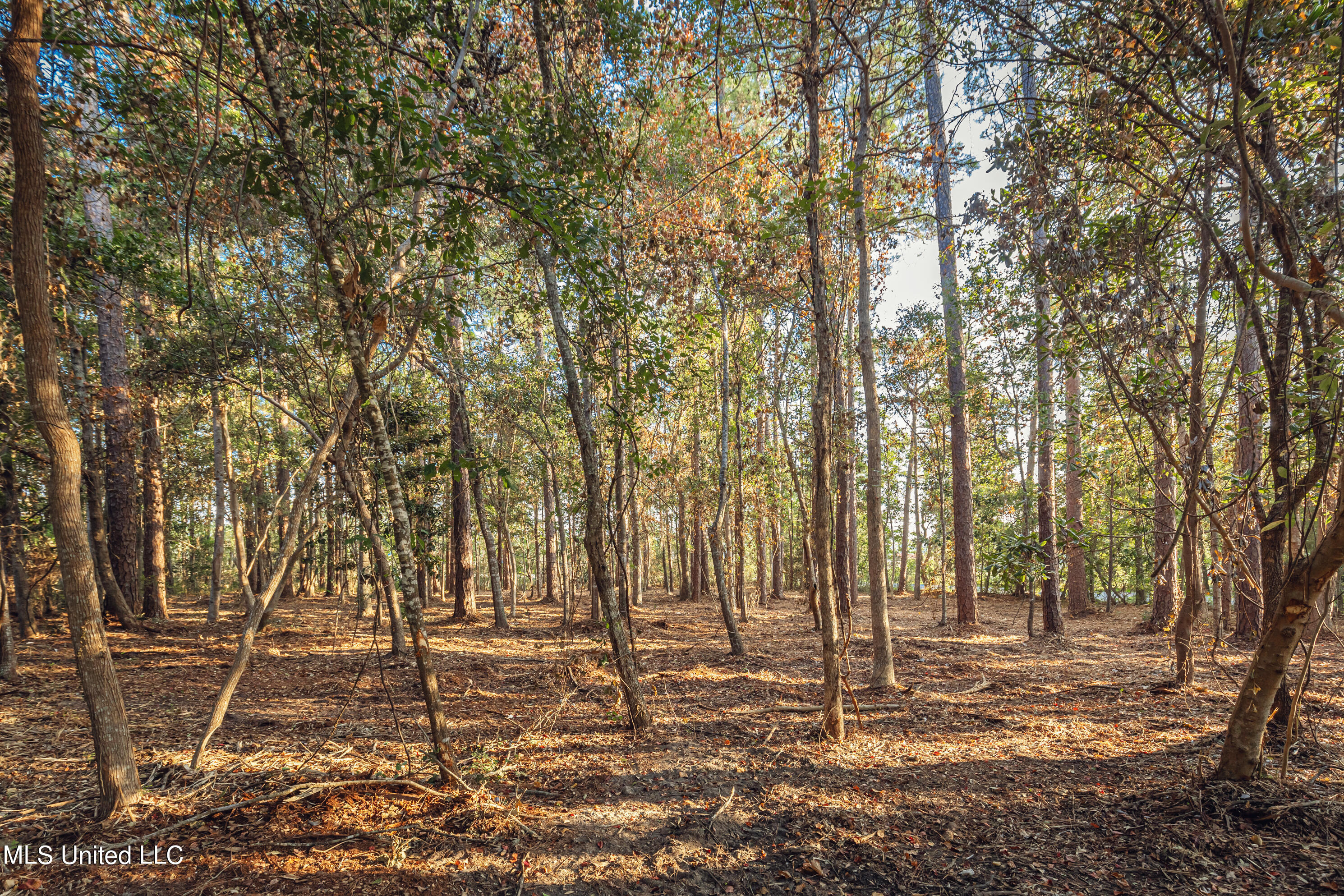 Bristol Blvd Boulevard