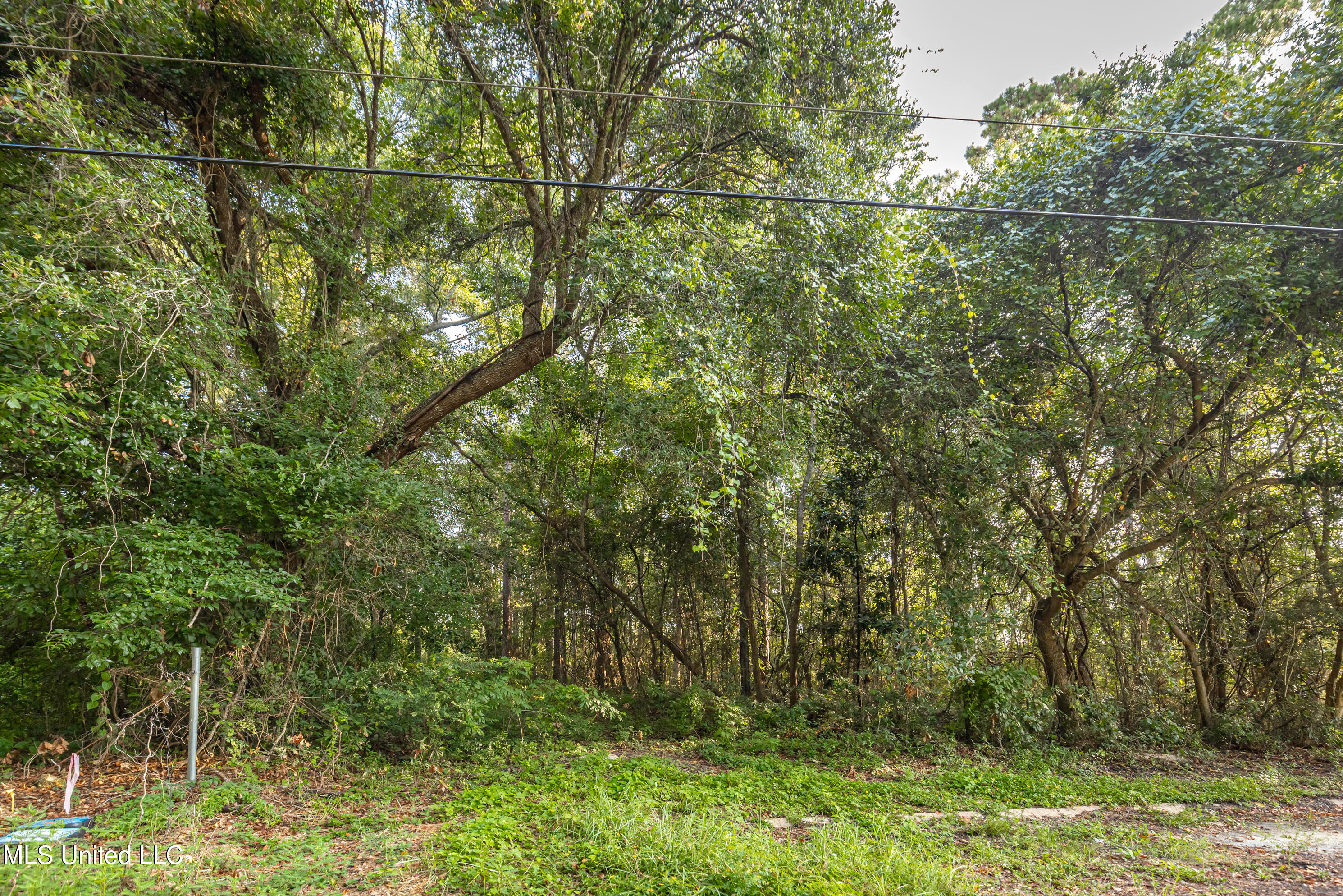 Bristol Blvd Boulevard