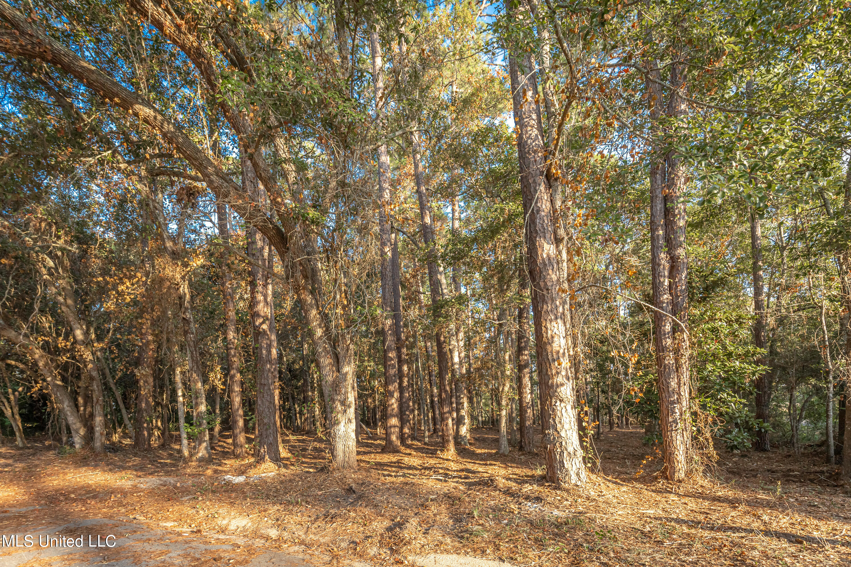 Bristol Blvd Boulevard