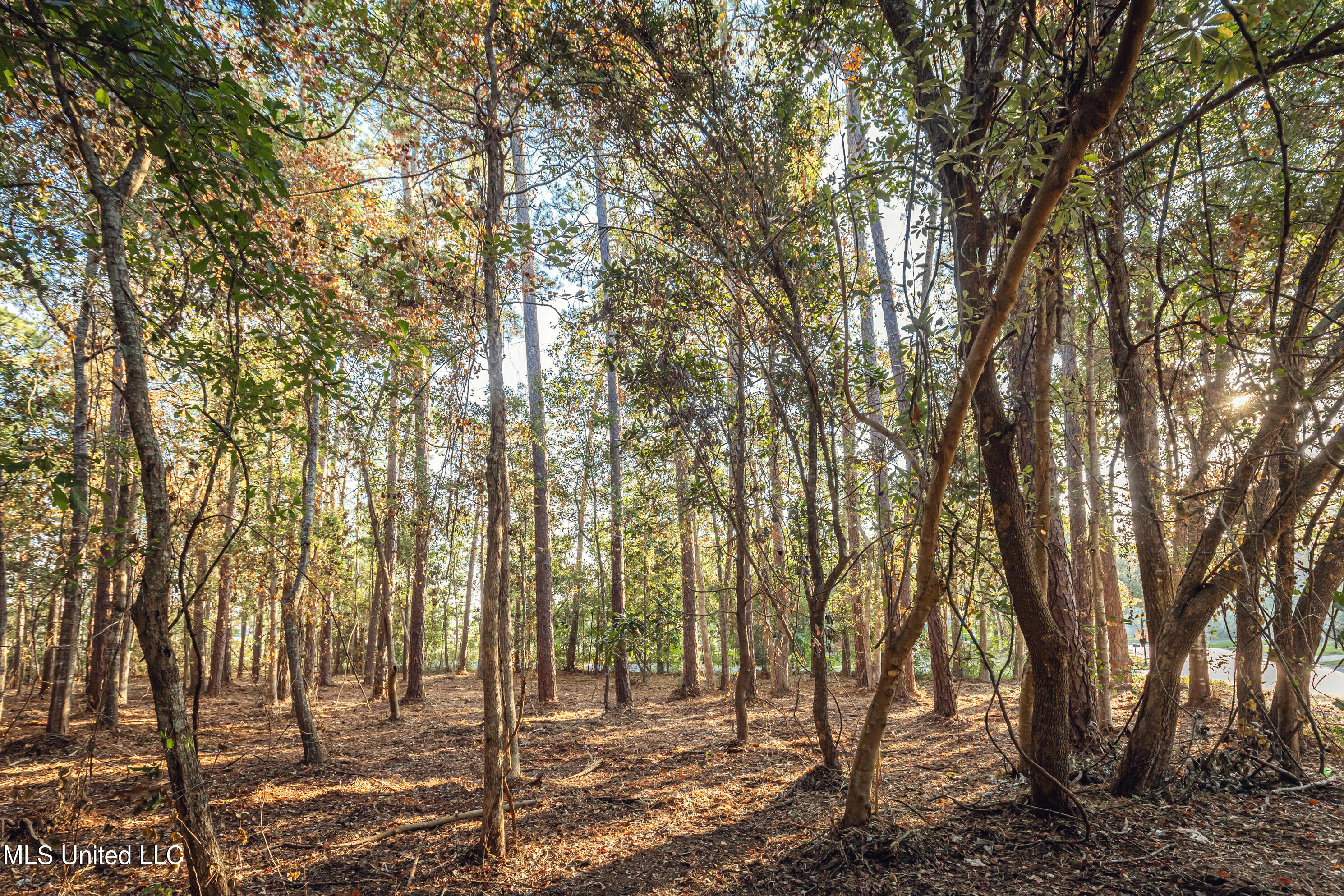 Bristol Blvd Boulevard