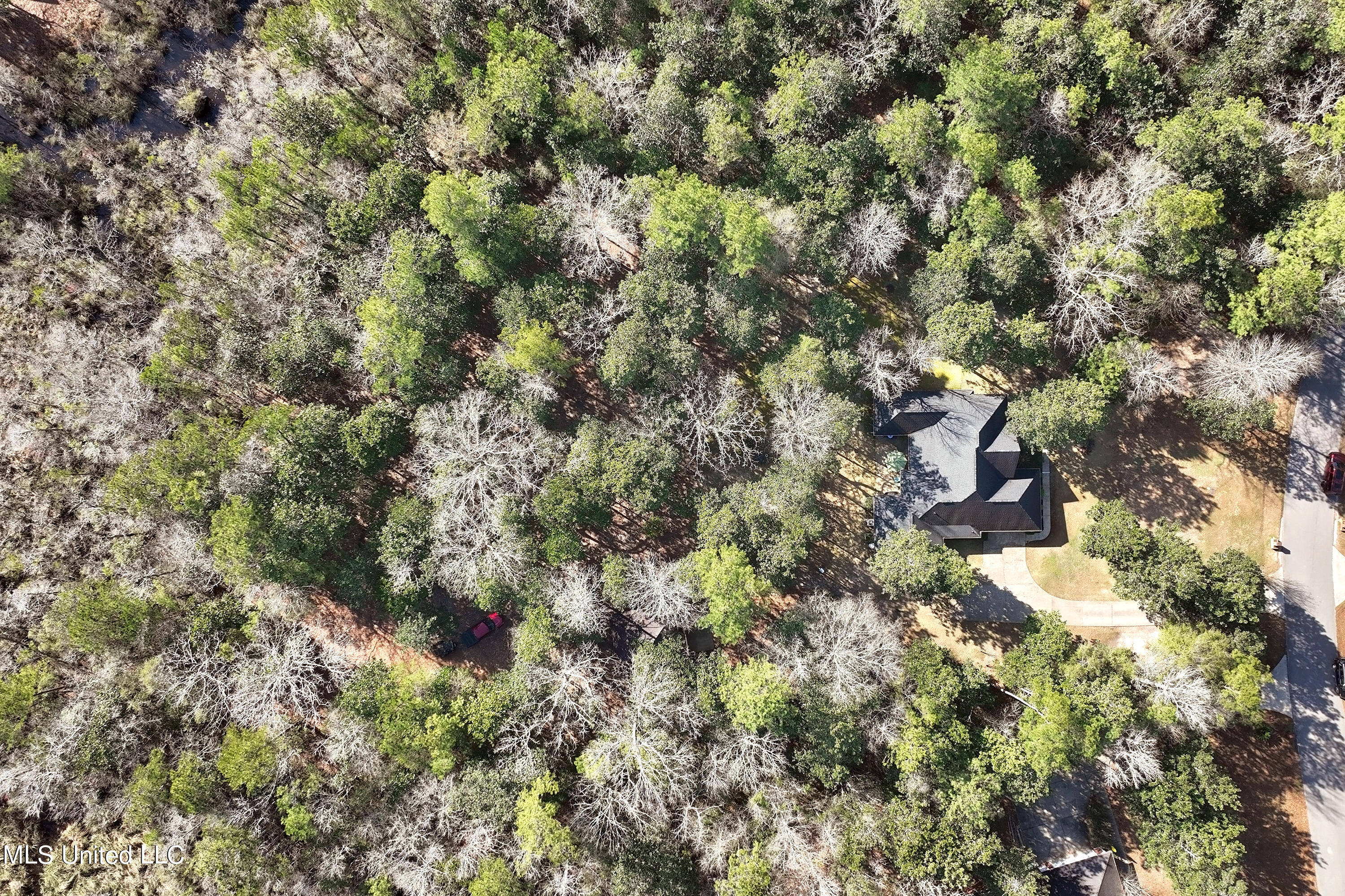 1601 Magnolia Bluff Drive