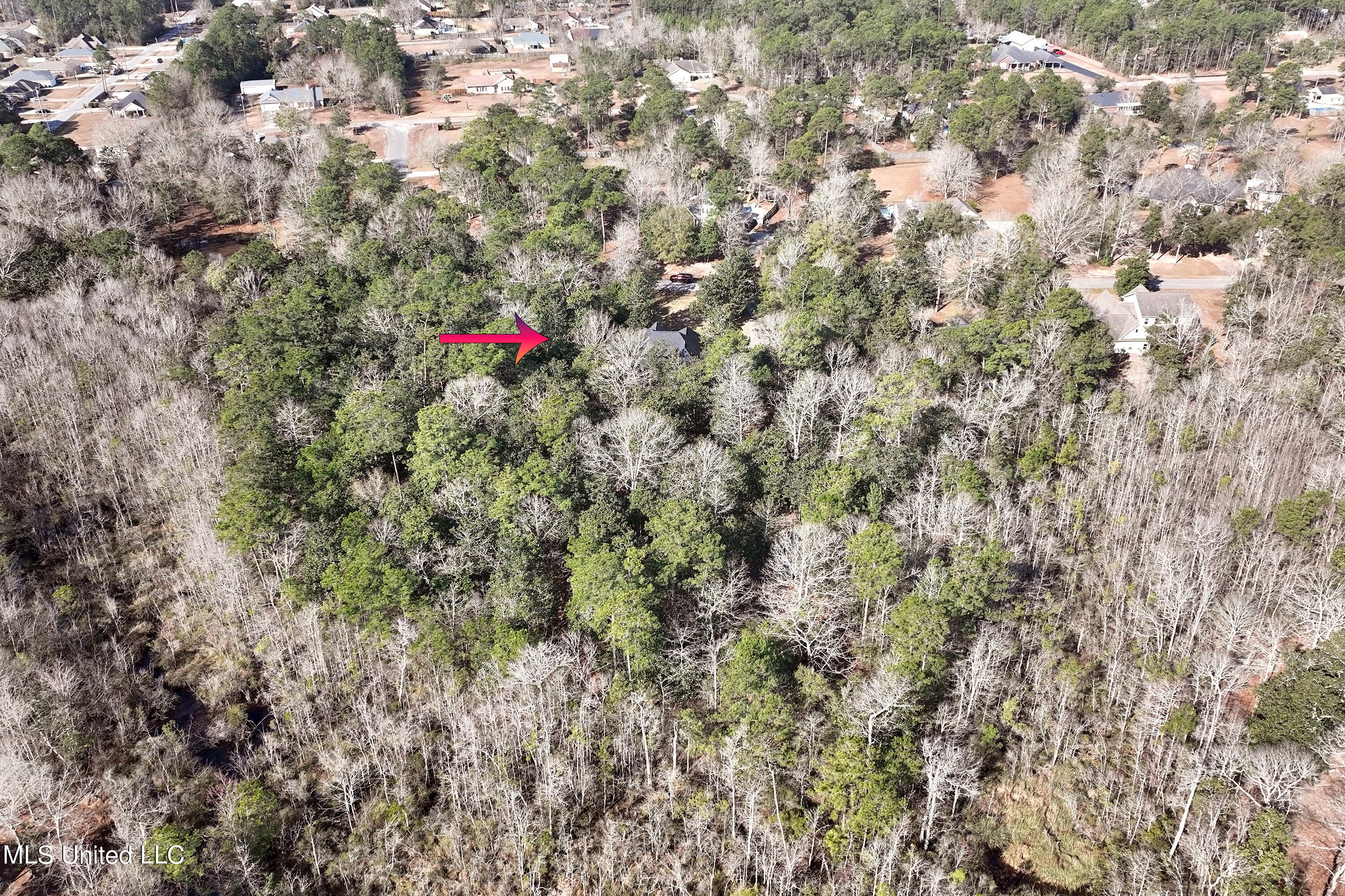 1601 Magnolia Bluff Drive