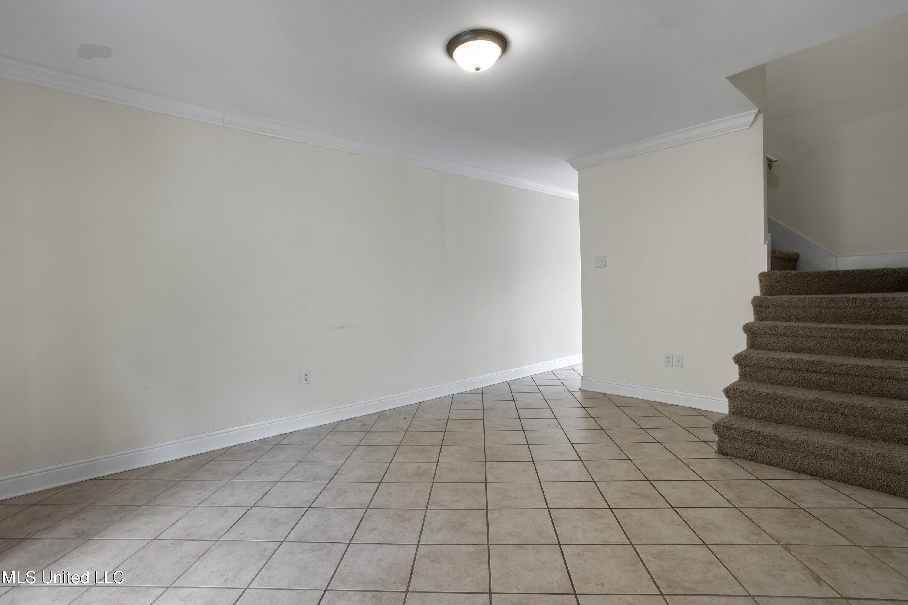 808 Desoto Street, 8