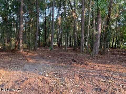 0 Ocean Springs Road