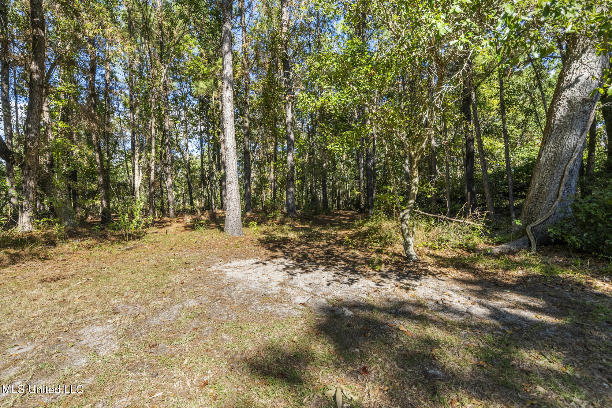 10720 Eagle Nest Road