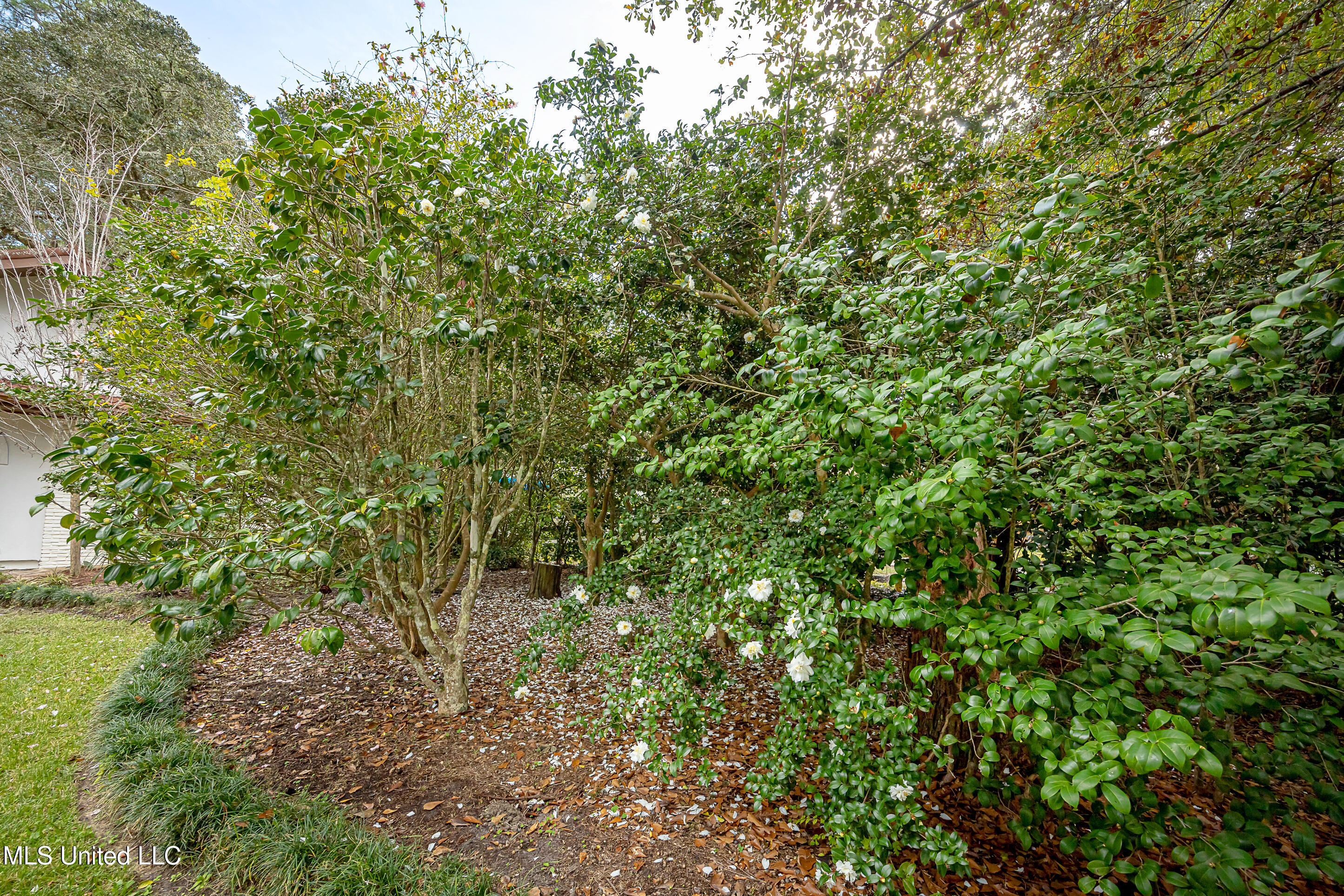132 Pine Drive