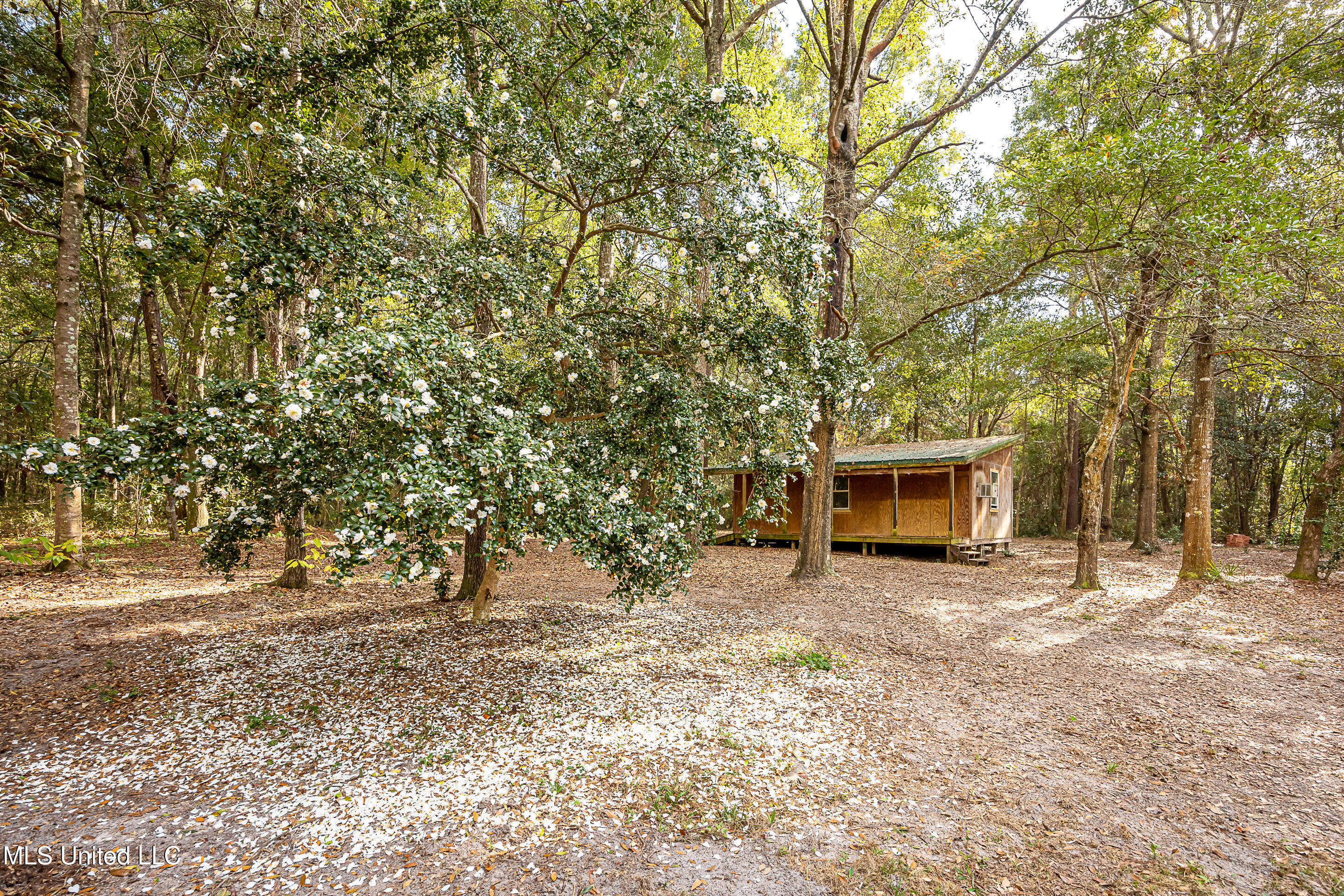 132 Pine Drive