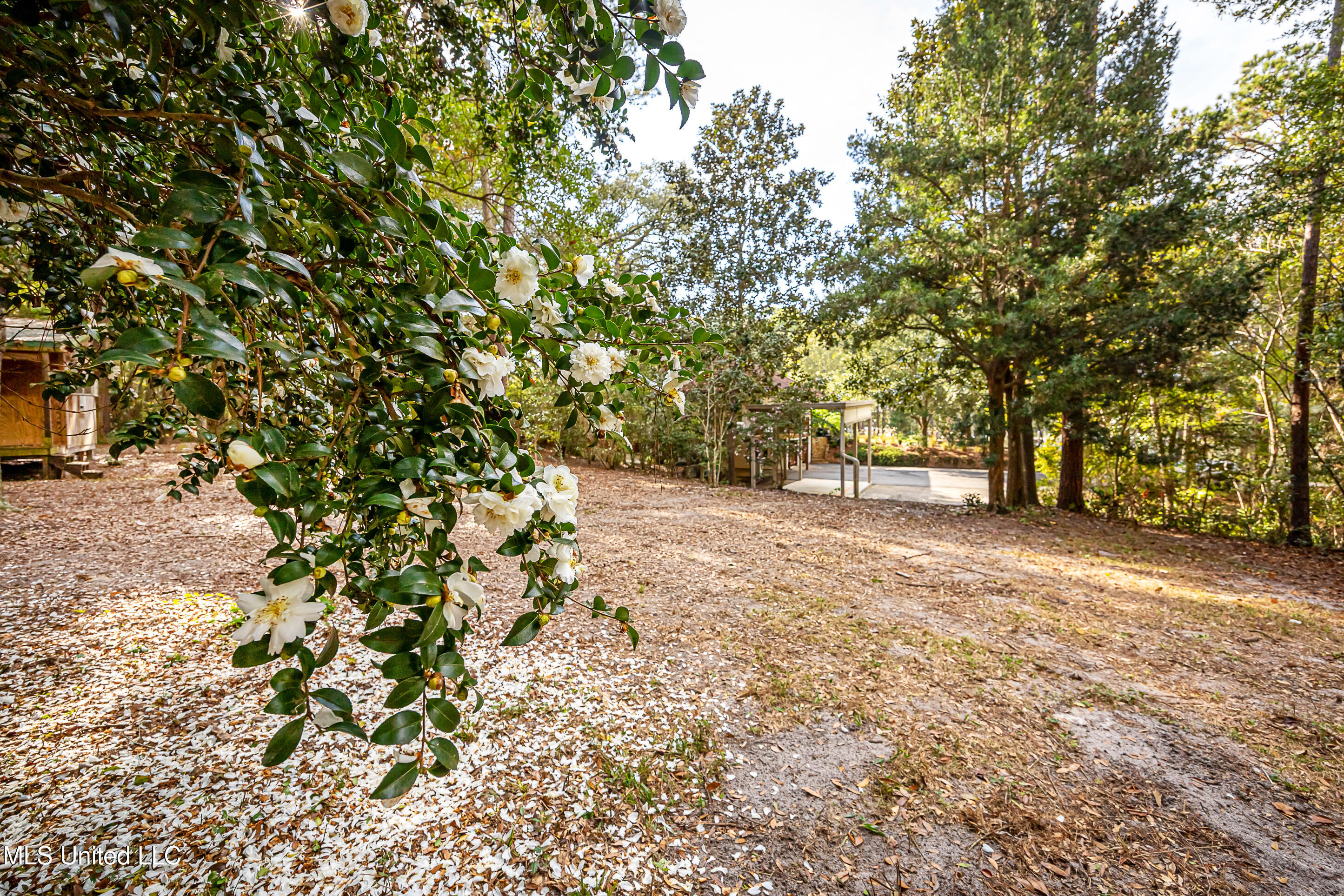 132 Pine Drive