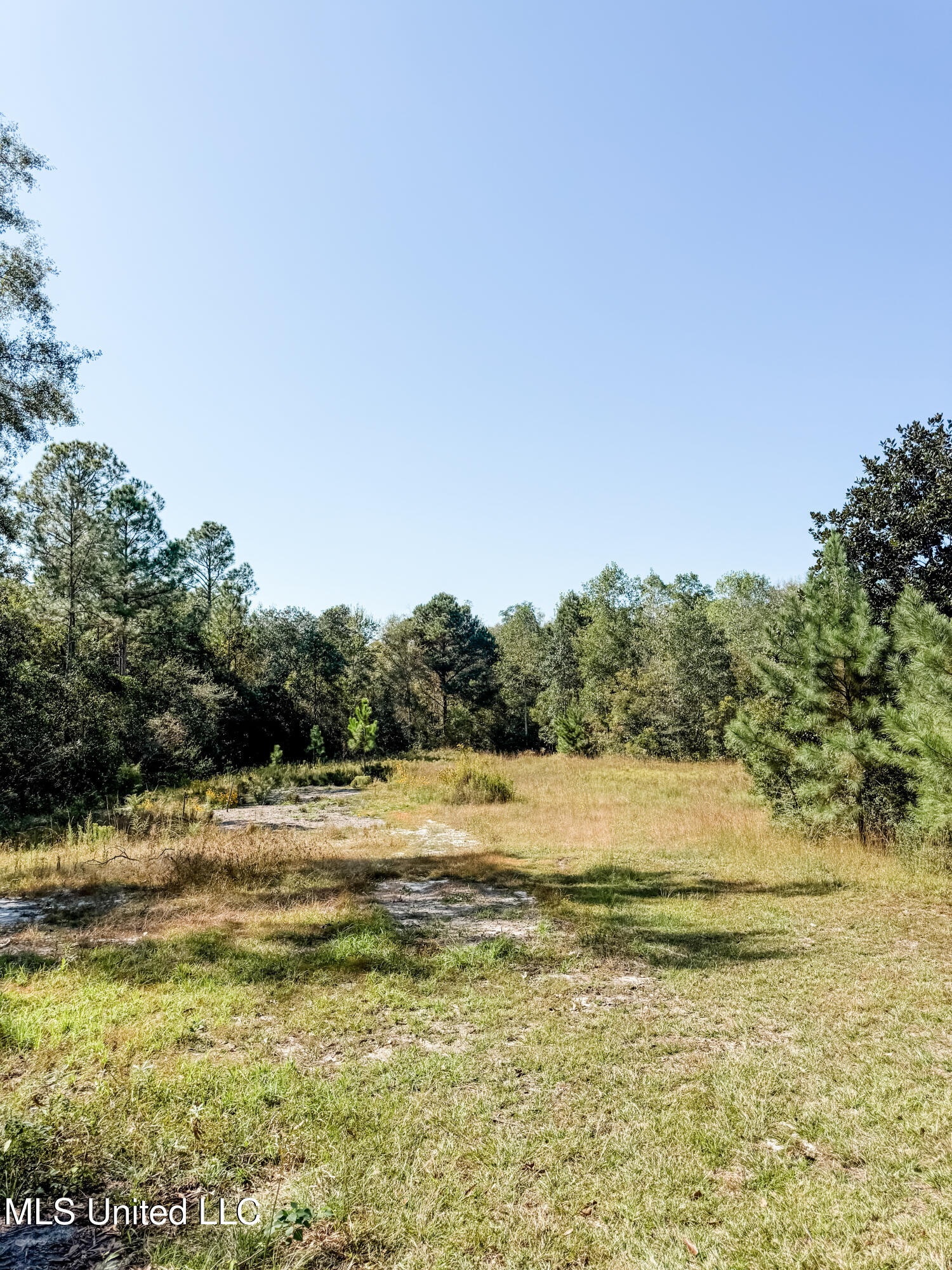 25481 Old Highway 49