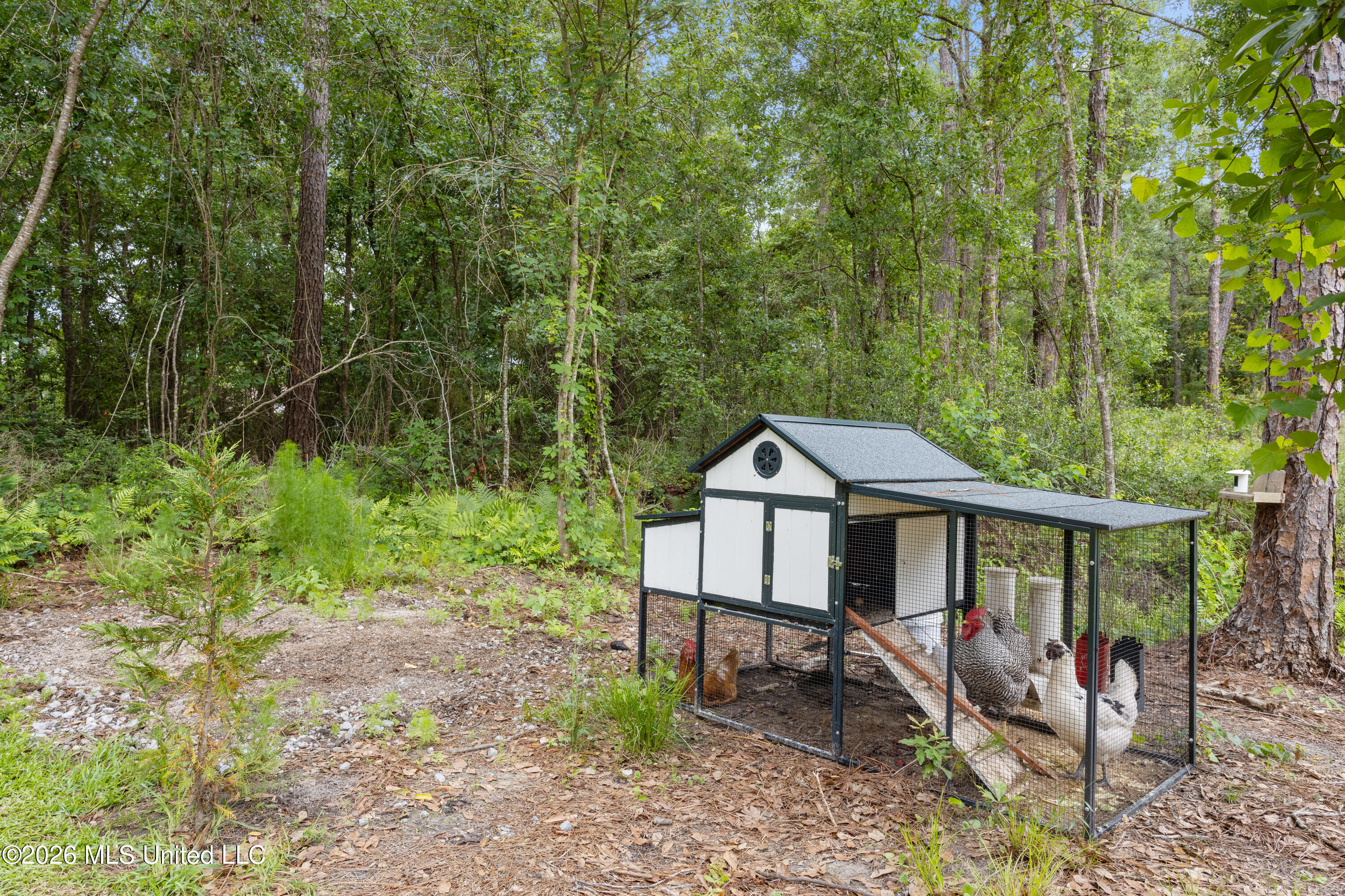 8068 Ocean Springs Road