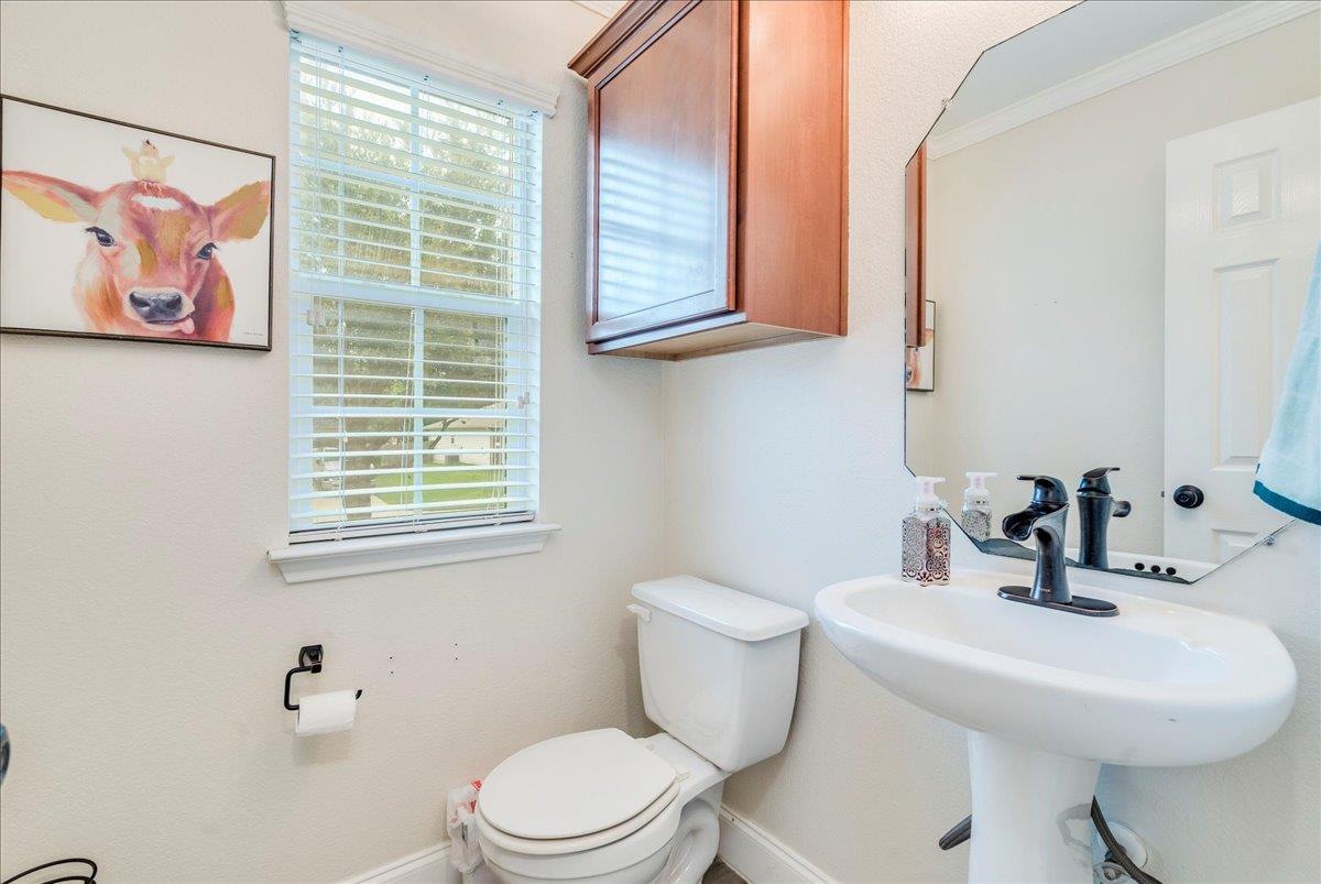 217 Adriana LN