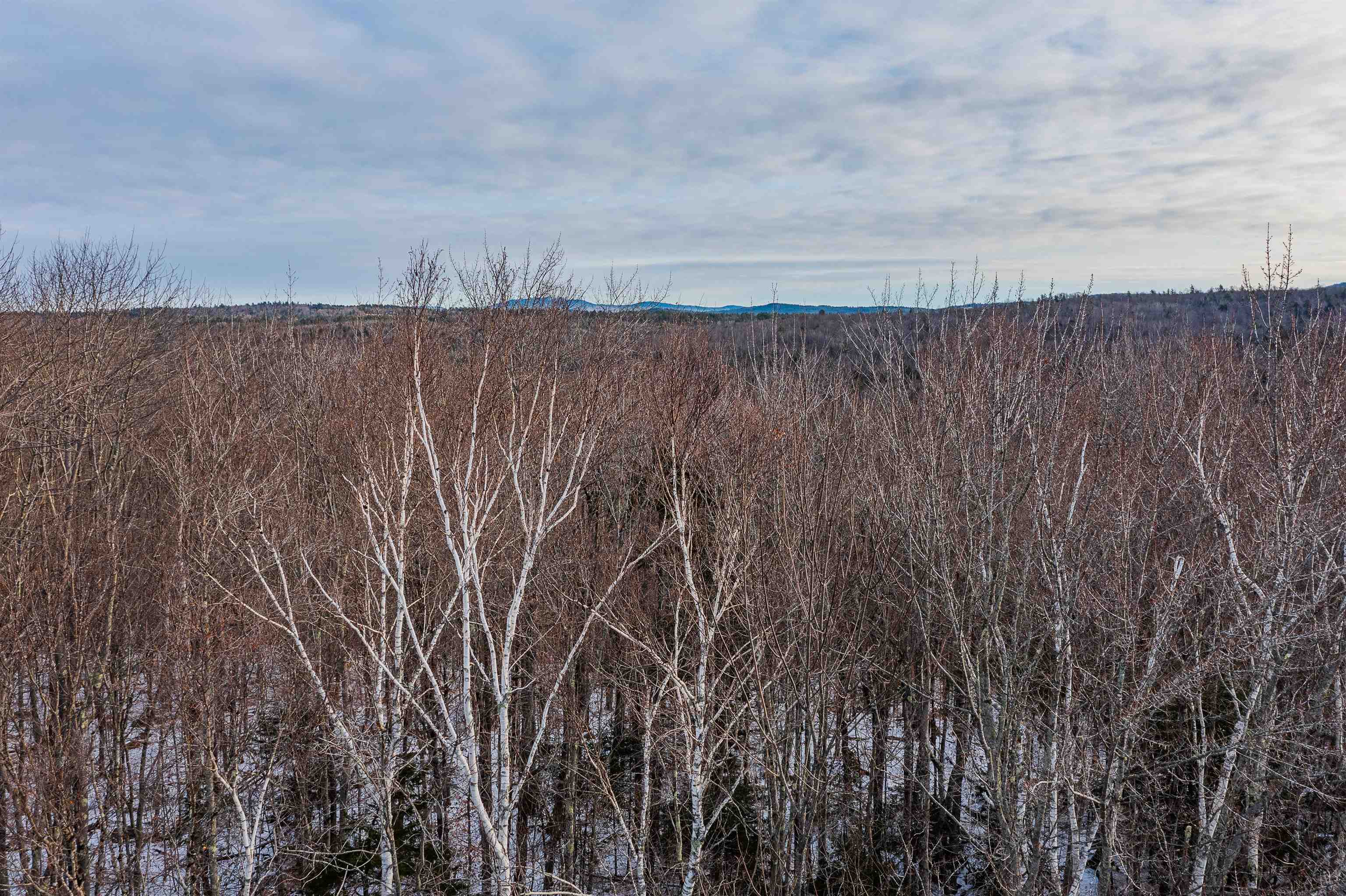 23 Hickory Overlook