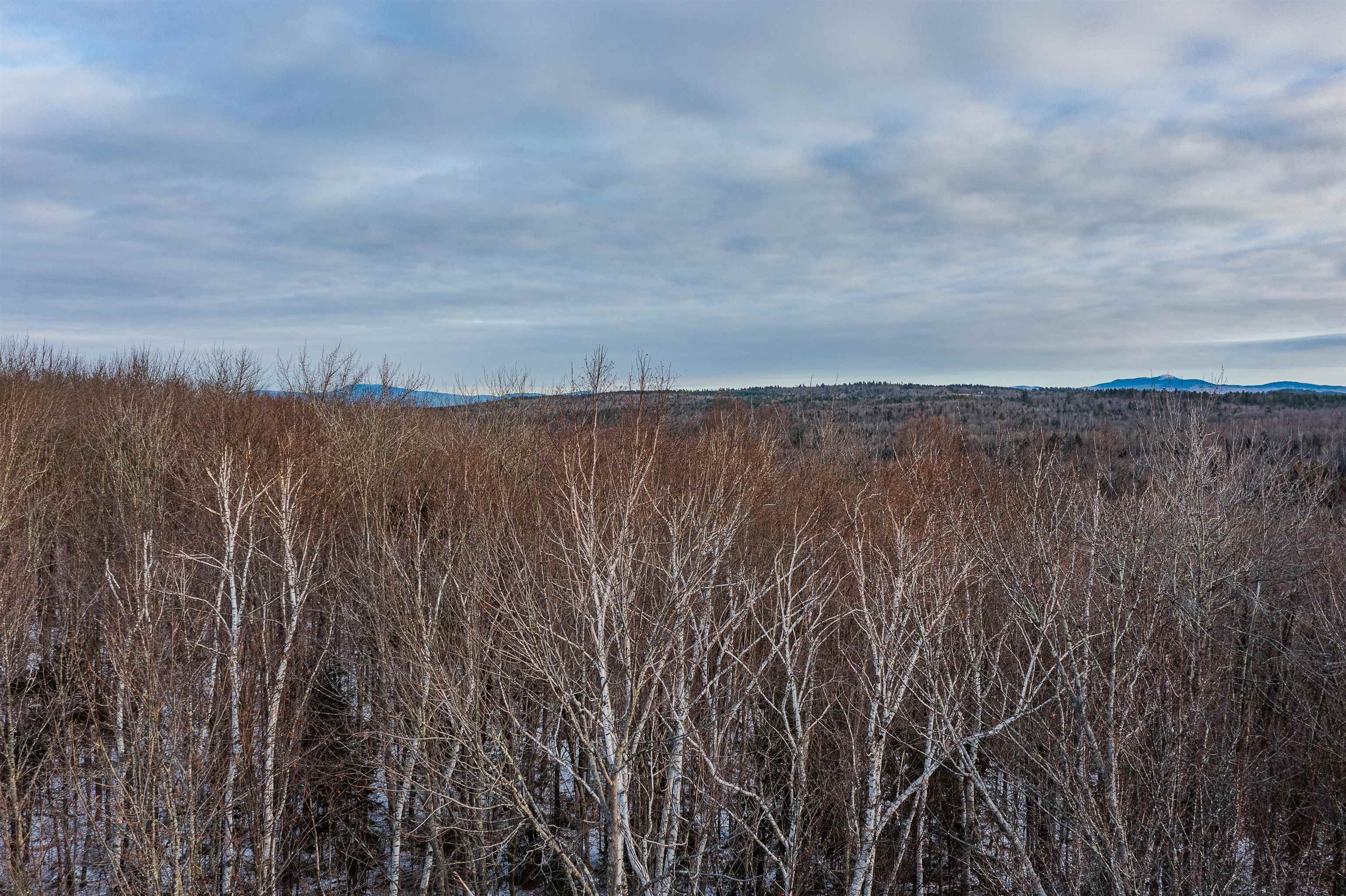 23 Hickory Overlook
