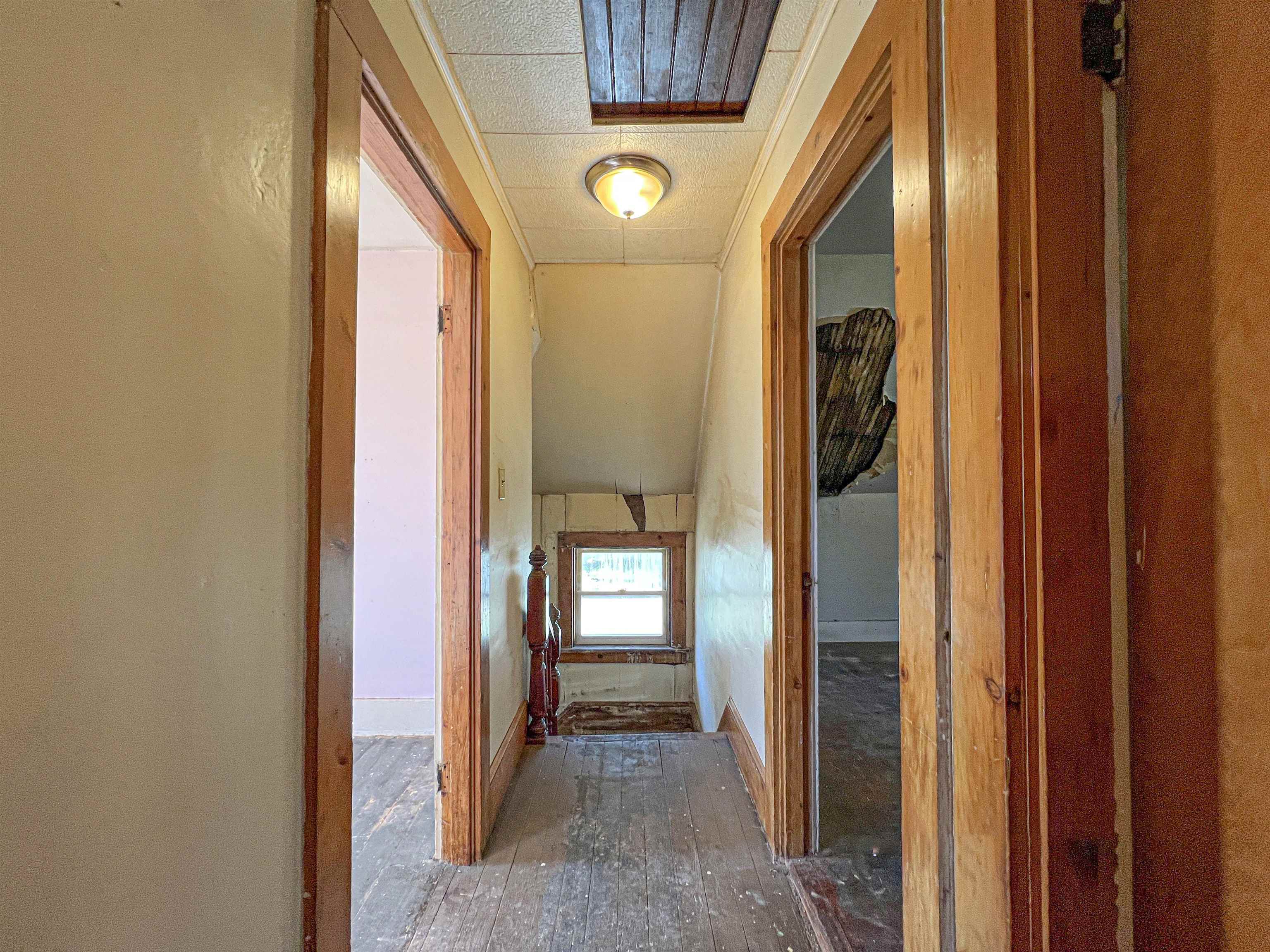 38 Horseshoe Avenue