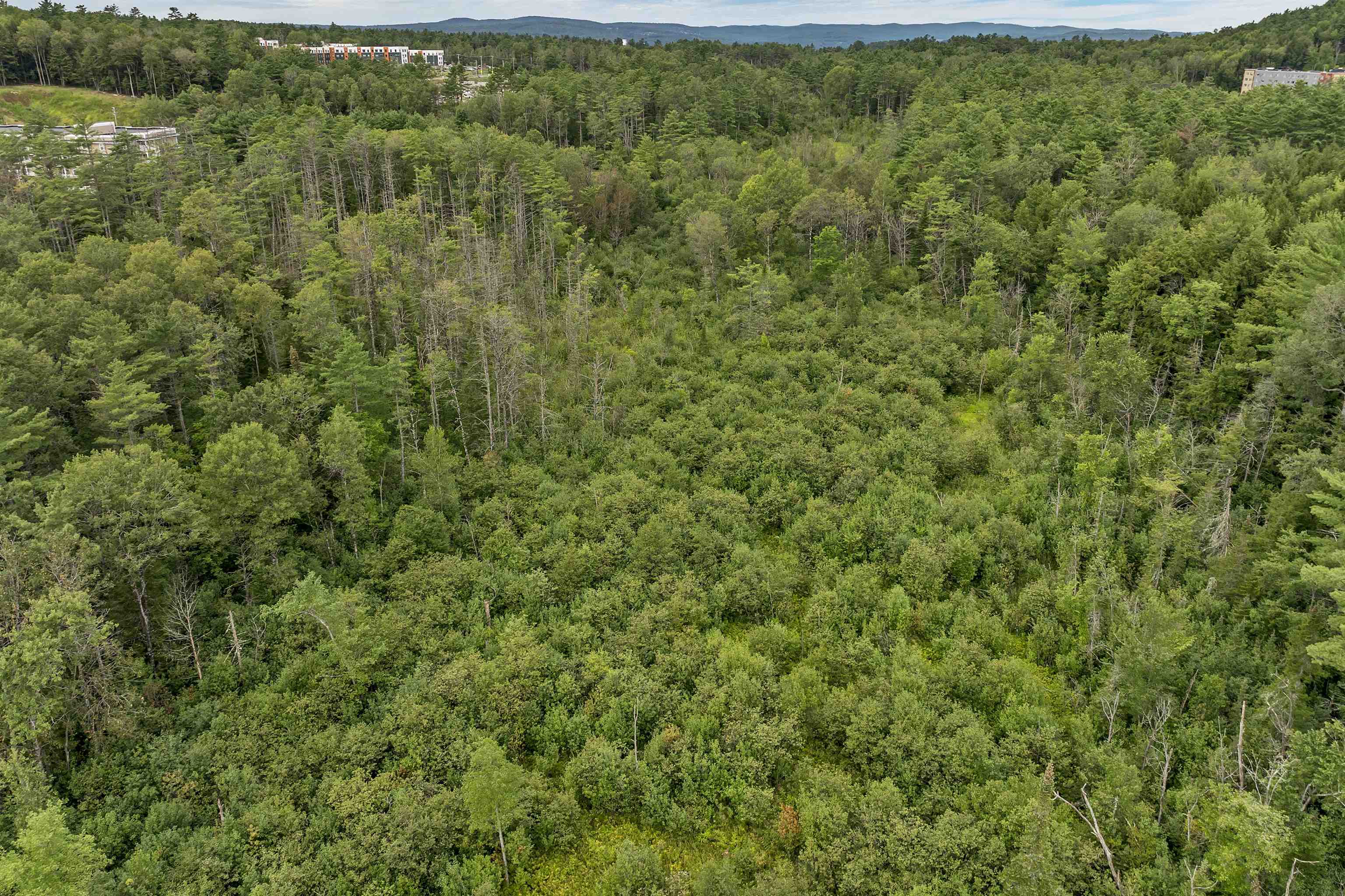 0 Mount Support Road