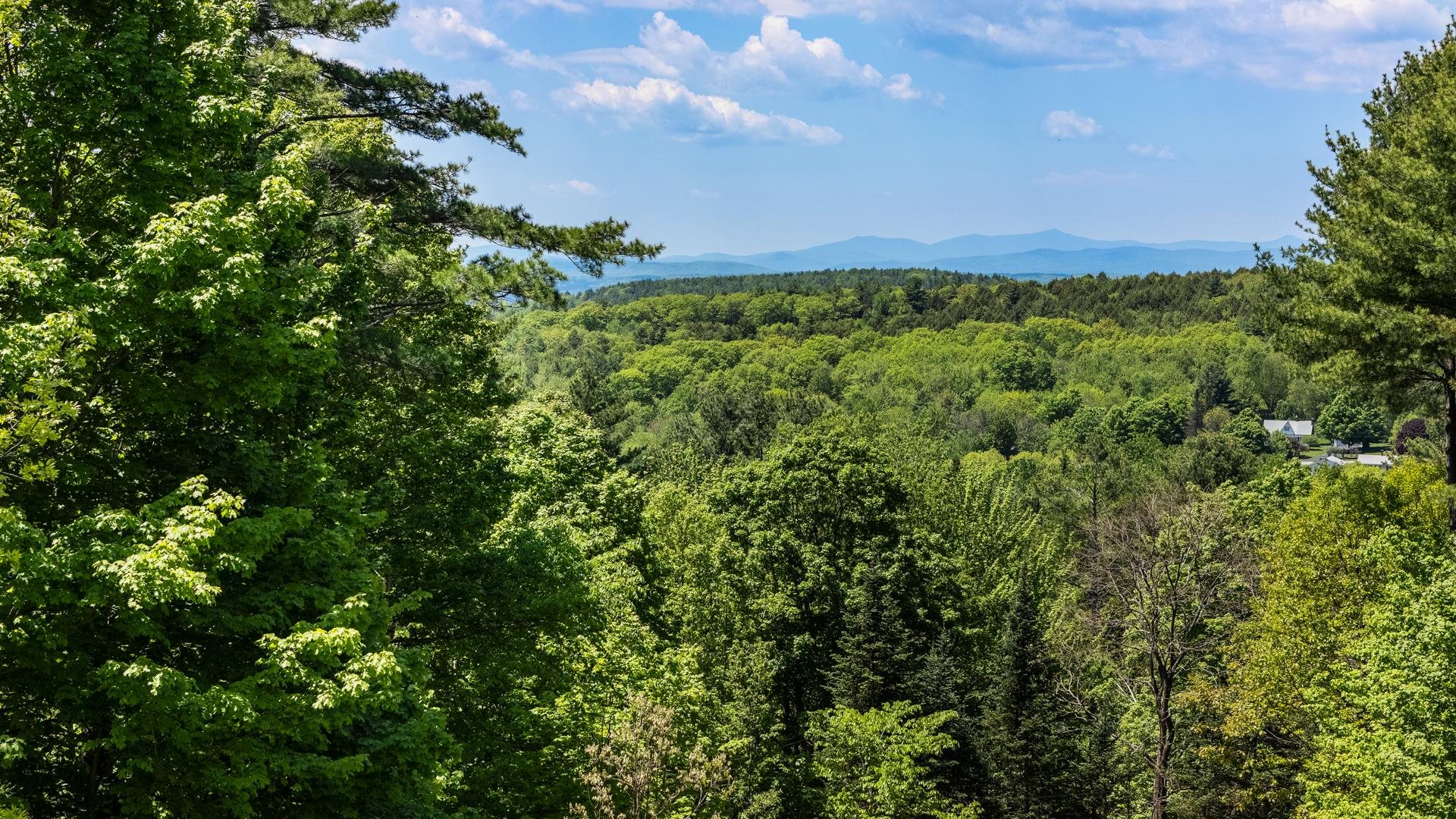 54 Blueberry Hill Drive