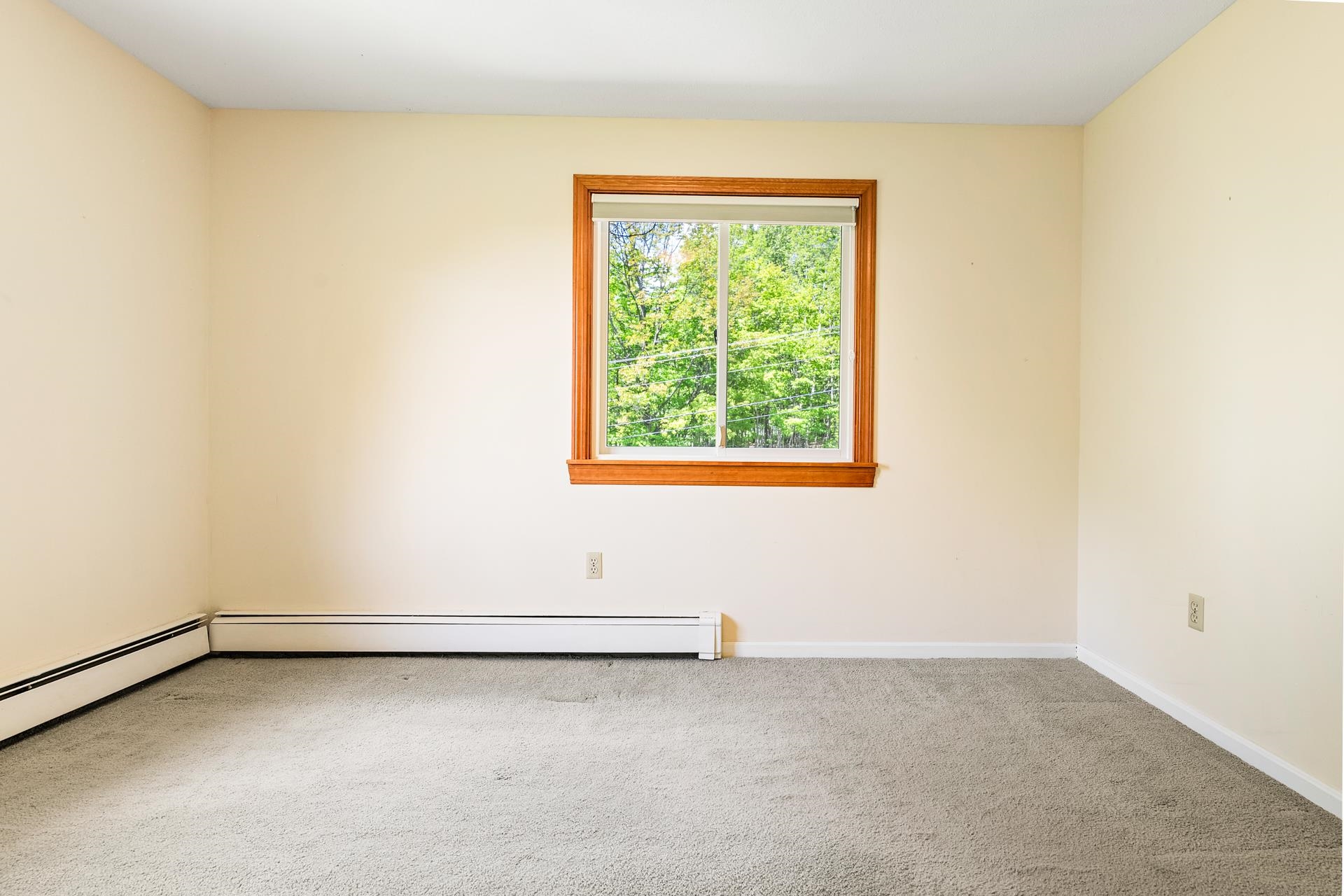 54 Blueberry Hill Drive