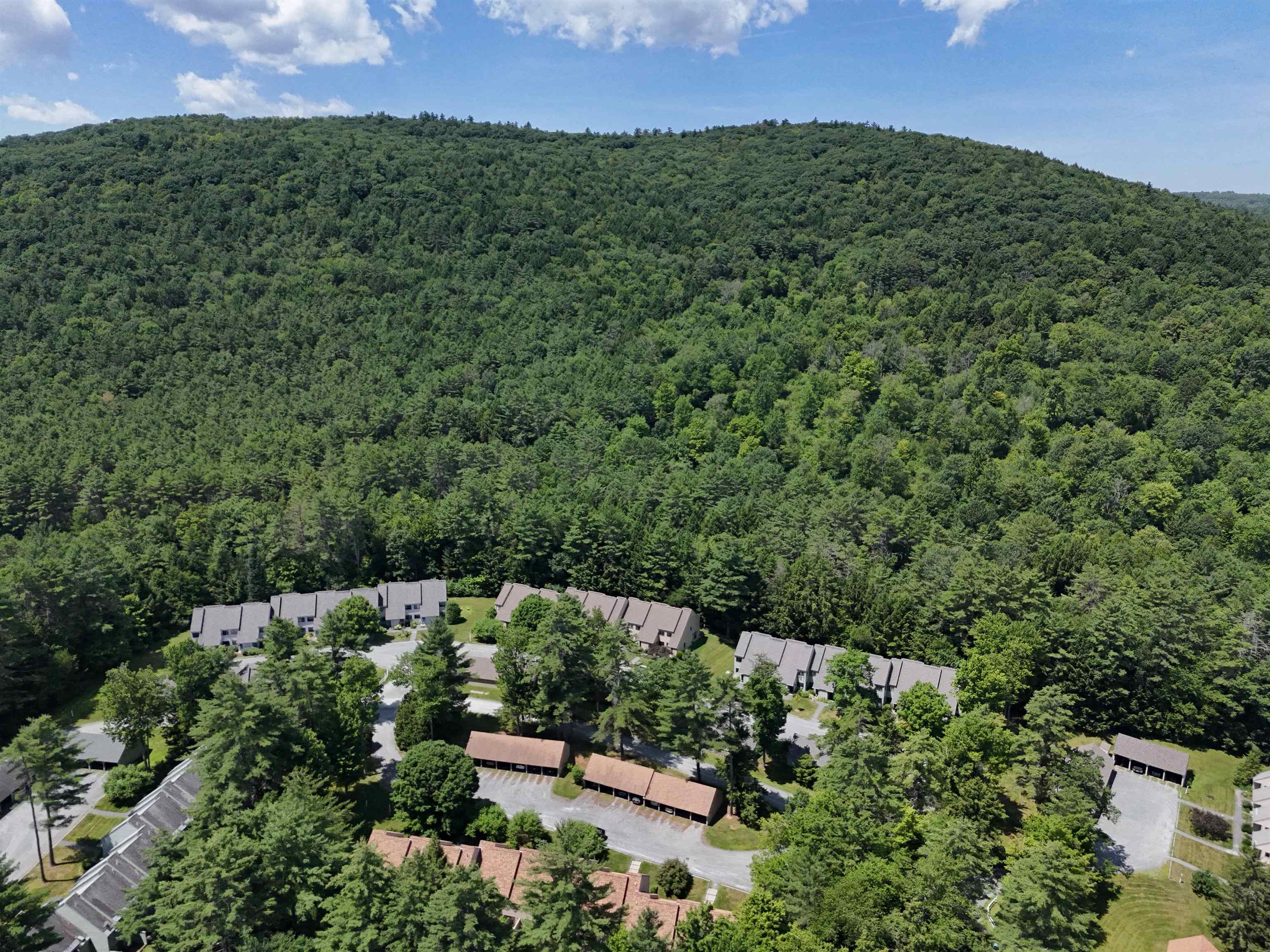 217 Woodhaven Drive Unit: 5A