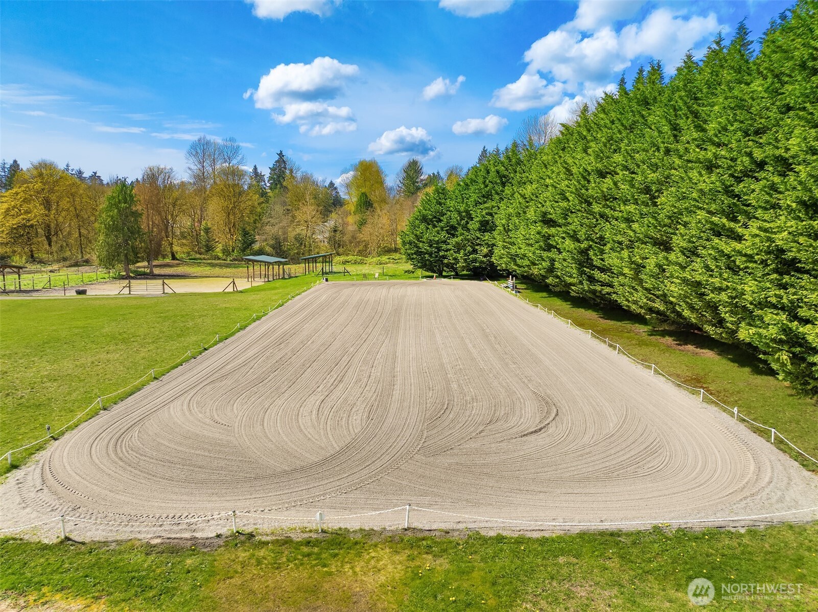 Outdoor riding arena with groomed sand footing, grassy paddocks, and a row of evergreen trees.
