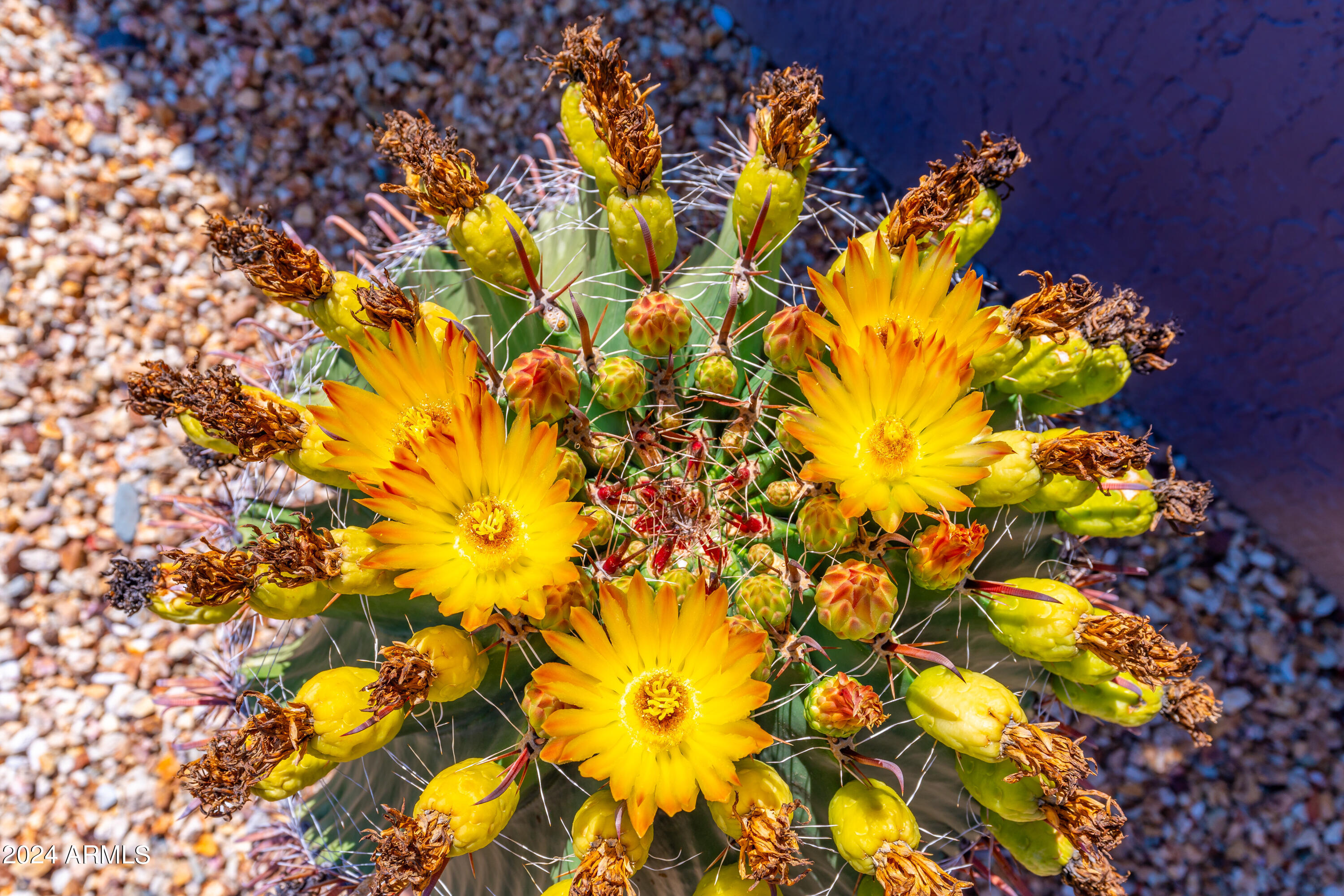 13747 W VILLA RIDGE Drive, Sun City West