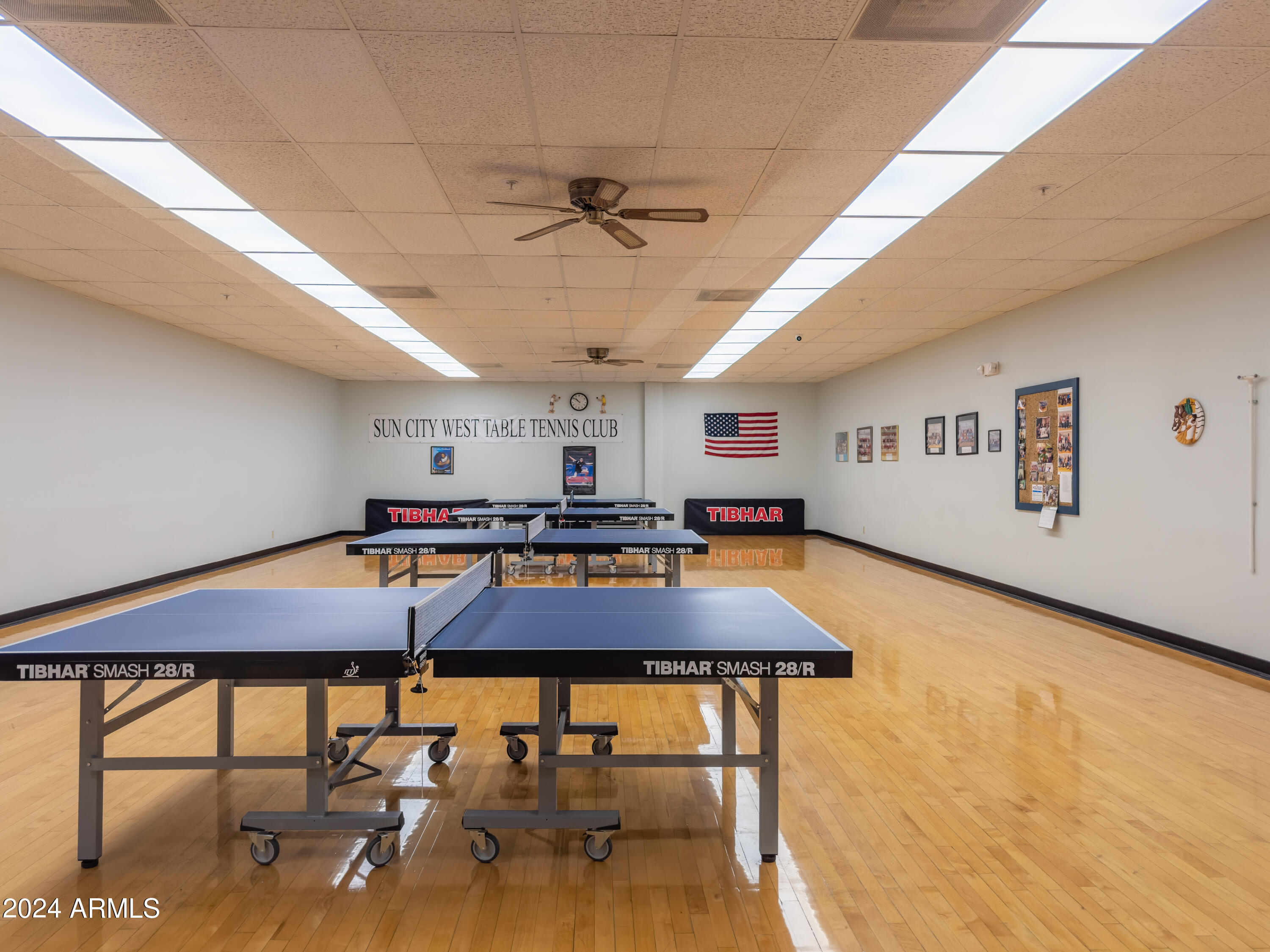 13747 W VILLA RIDGE Drive, Sun City West