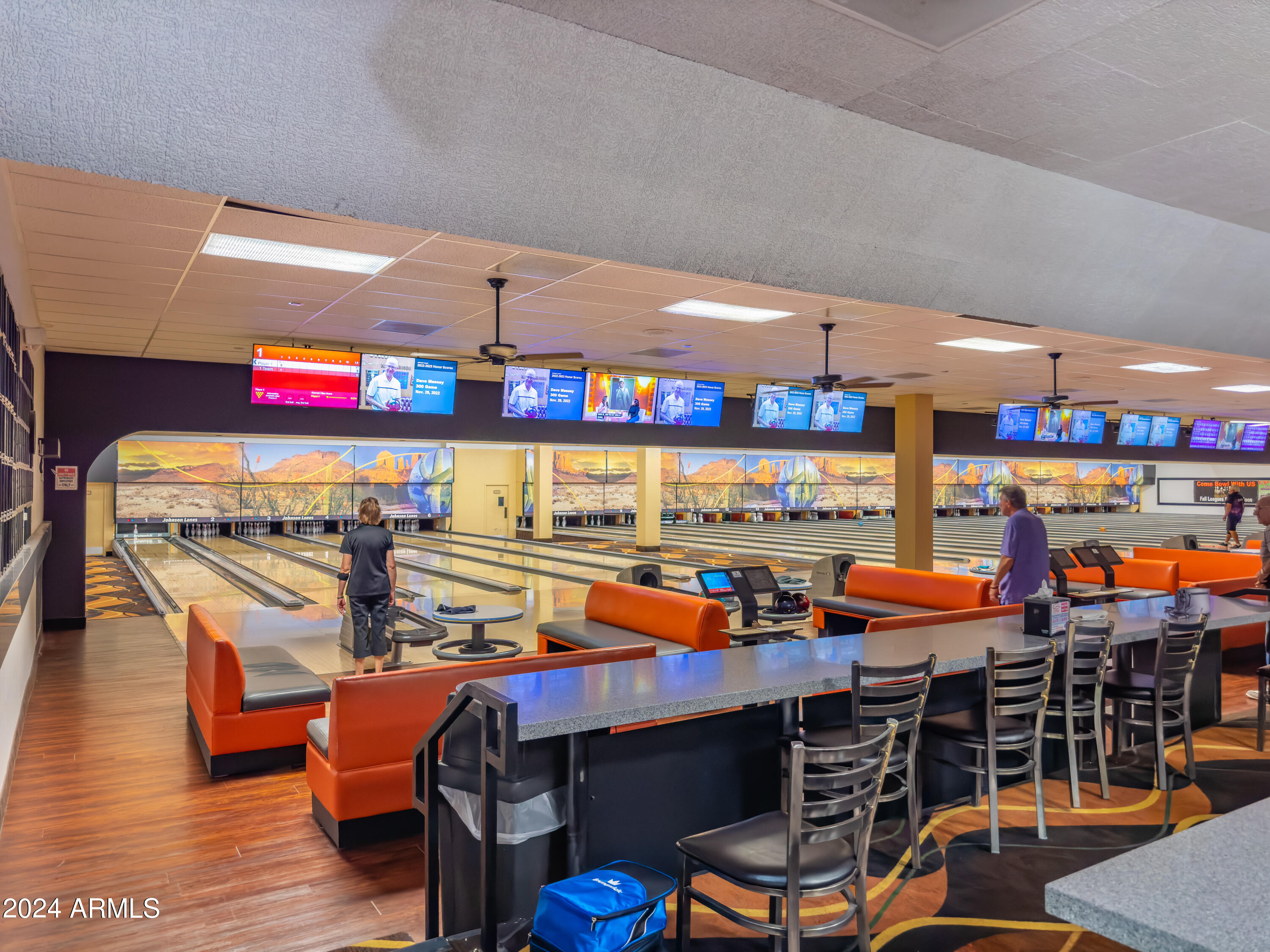 13747 W VILLA RIDGE Drive, Sun City West