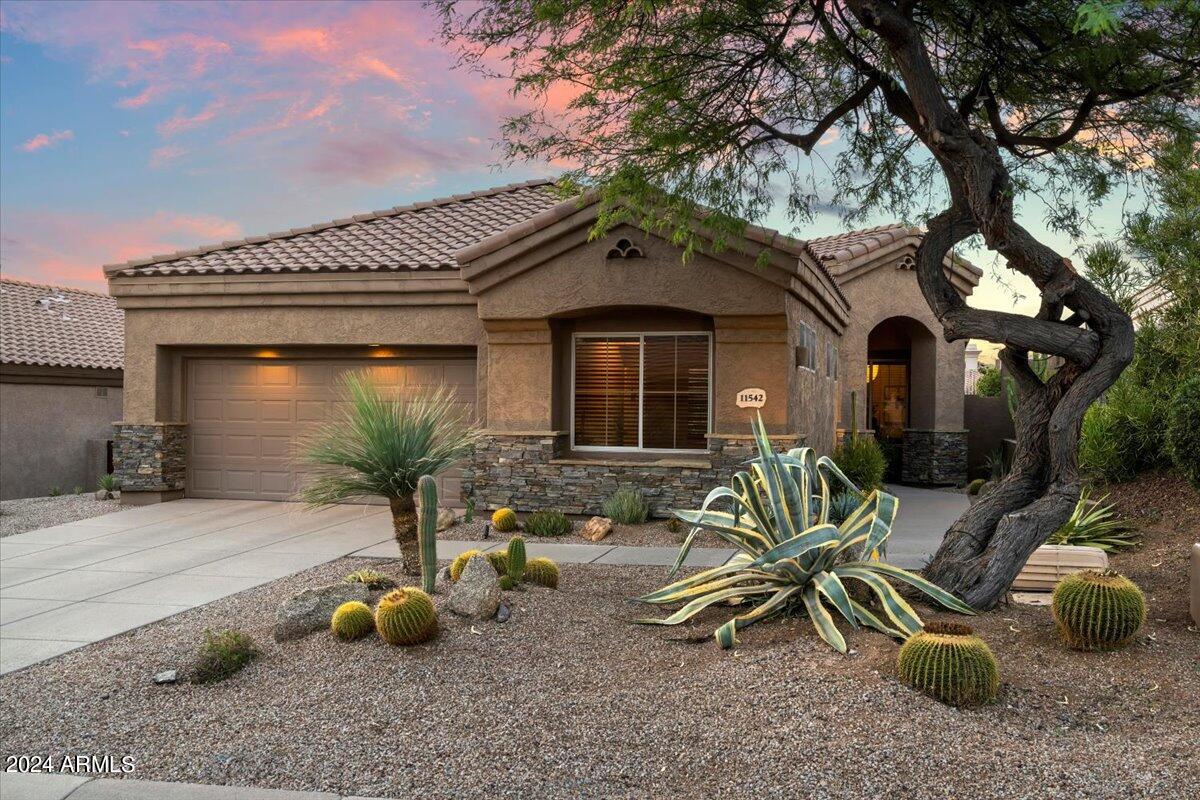 11542 E CHRISTMAS CHOLLA Drive