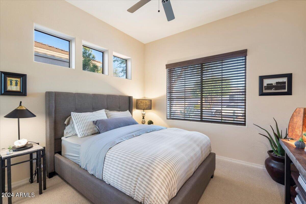 11542 E CHRISTMAS CHOLLA Drive