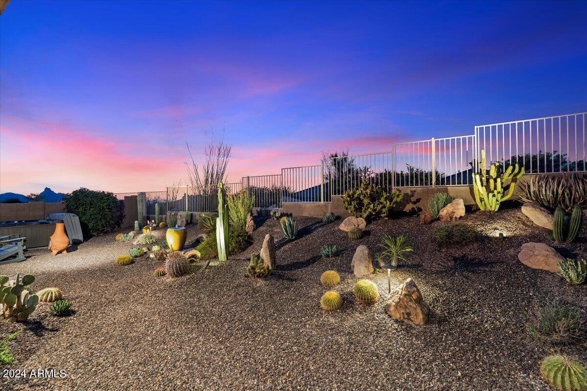 11542 E CHRISTMAS CHOLLA Drive