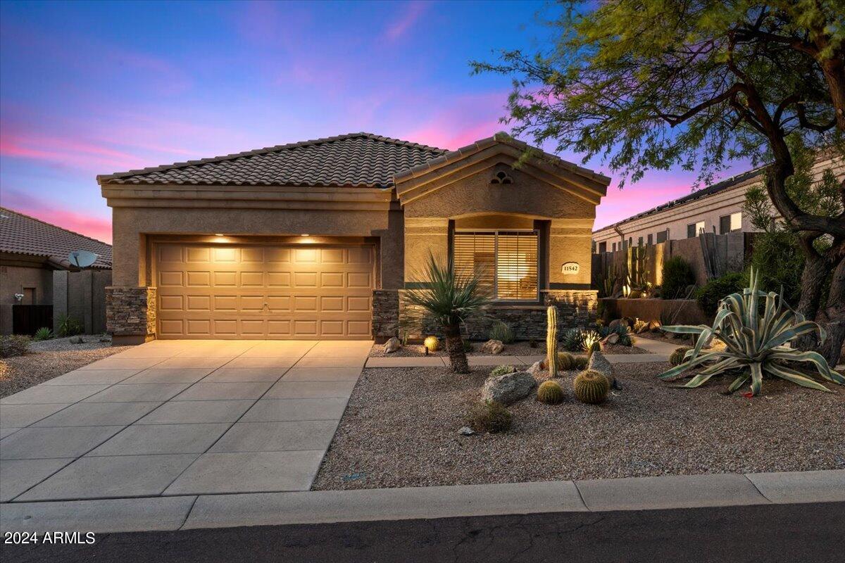 11542 E CHRISTMAS CHOLLA Drive
