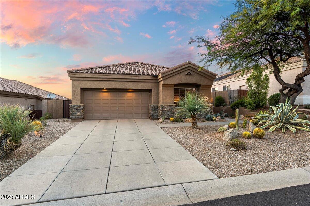11542 E CHRISTMAS CHOLLA Drive