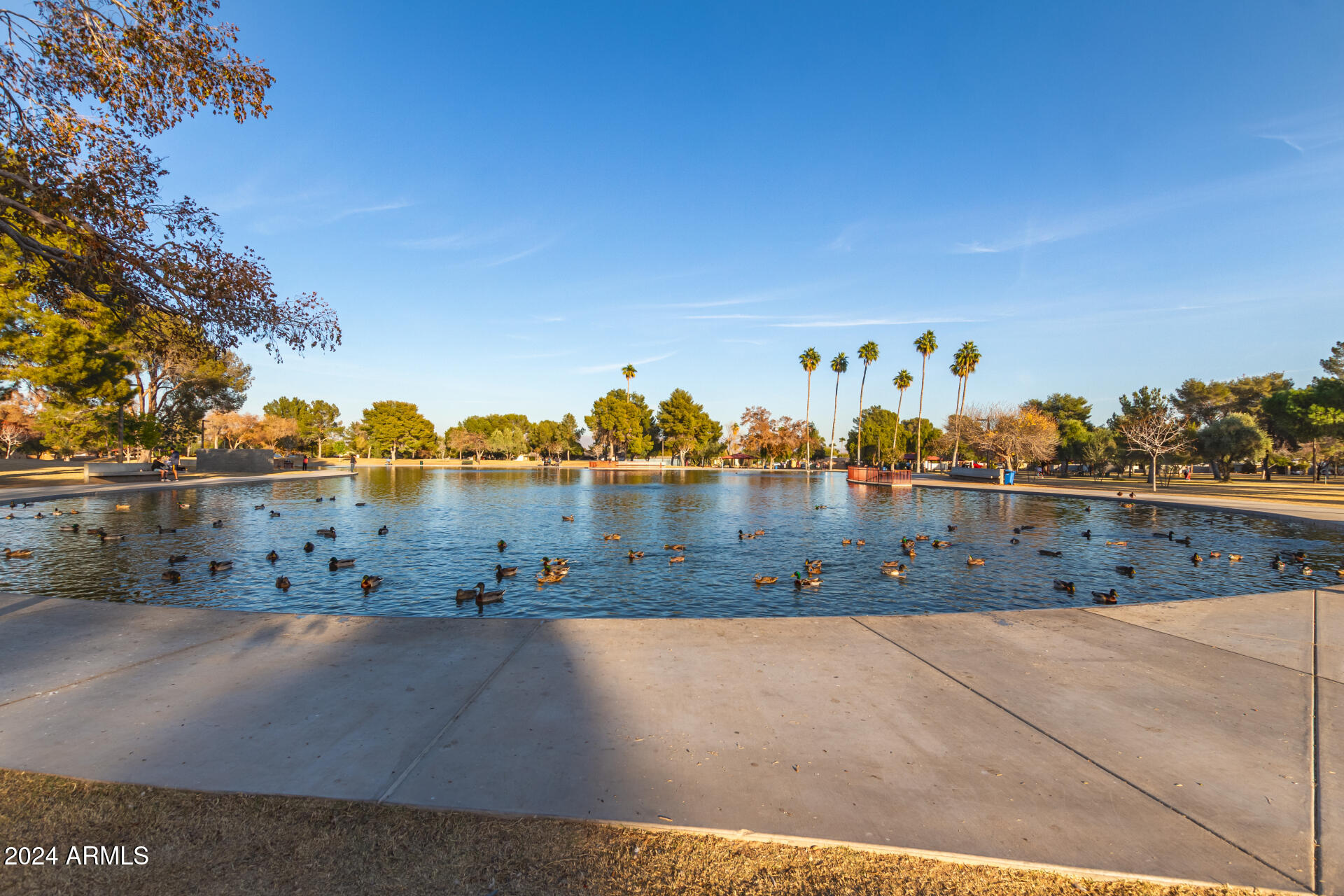 3753 E PARADISE Drive