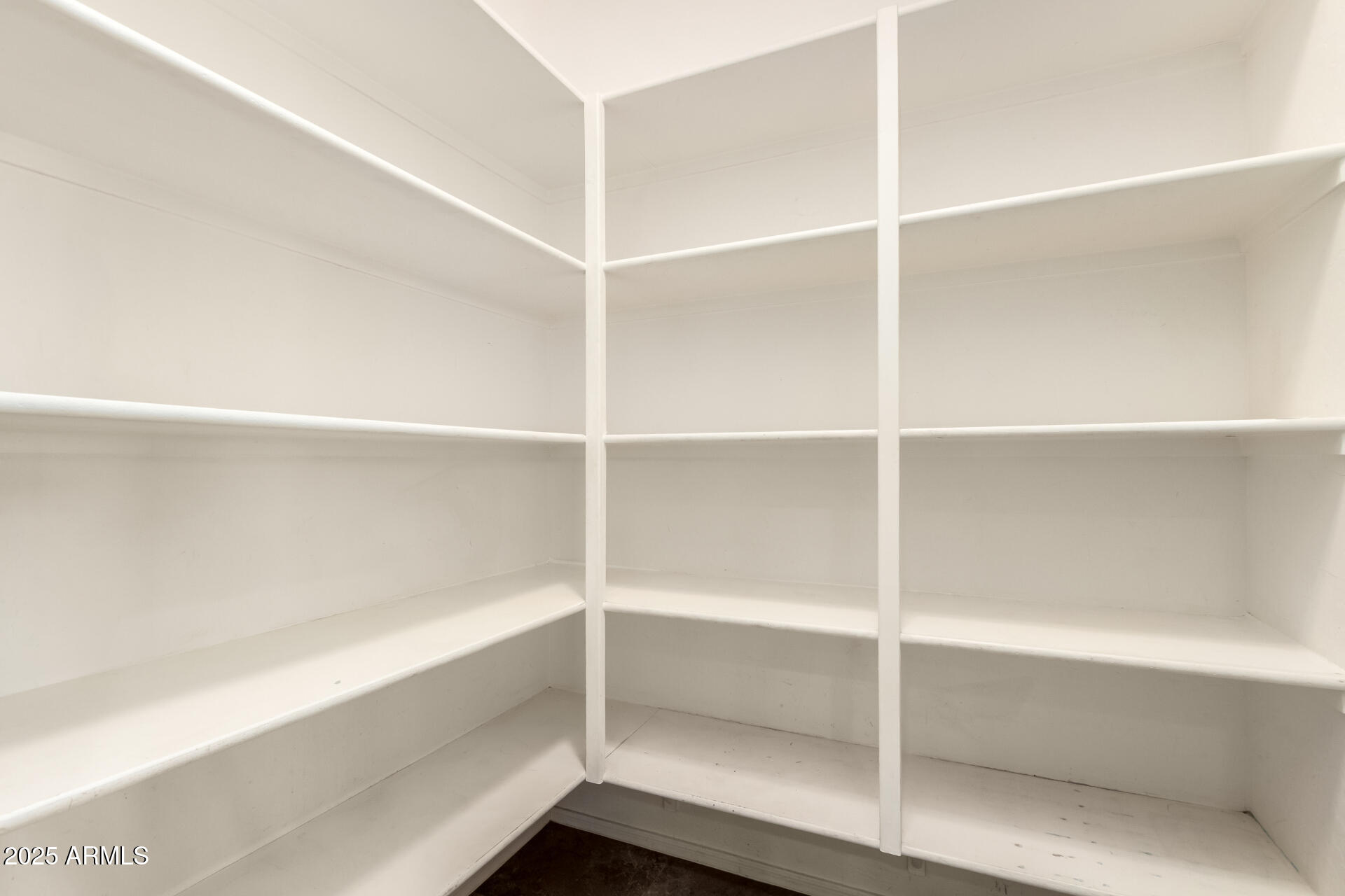 472 W DRAGON TREE Avenue