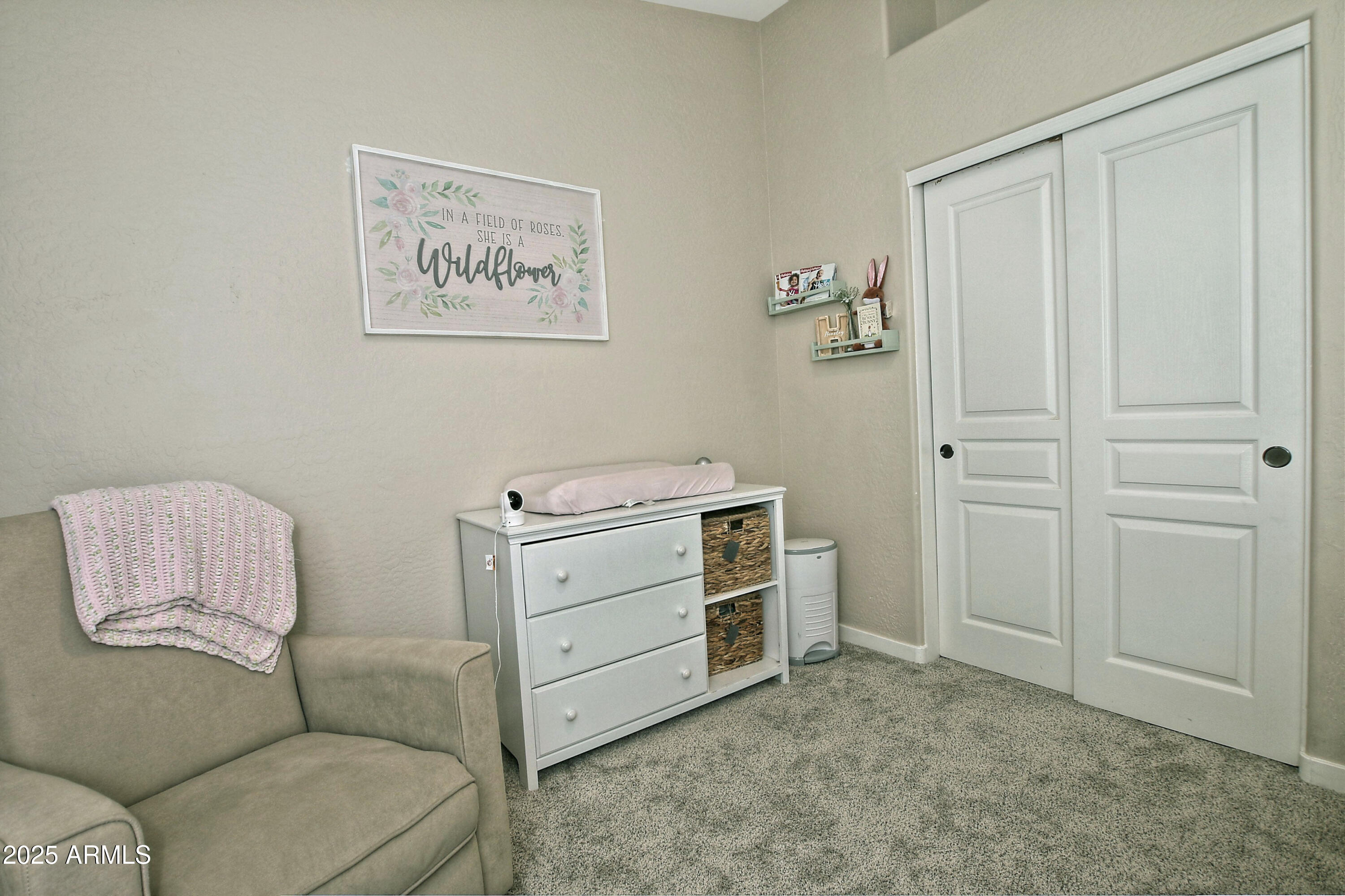 3812 W Carlos Lane, San Tan Valley