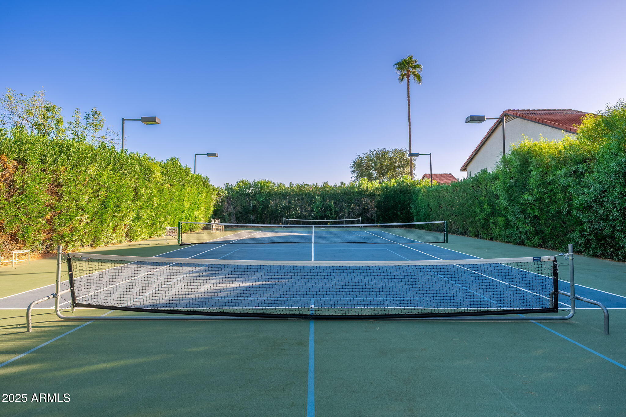 11011 N 92ND Street 1007